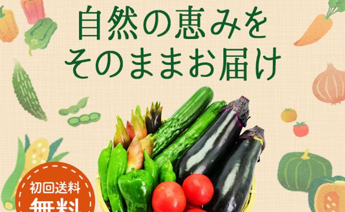 バナー：食品通販