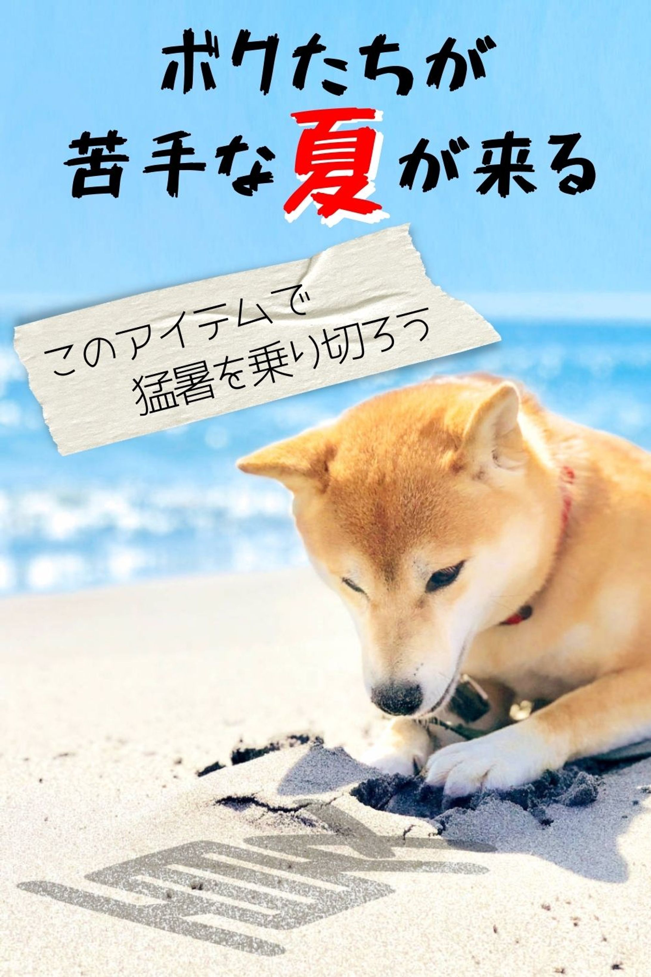 Pinterest 投稿画像-1
