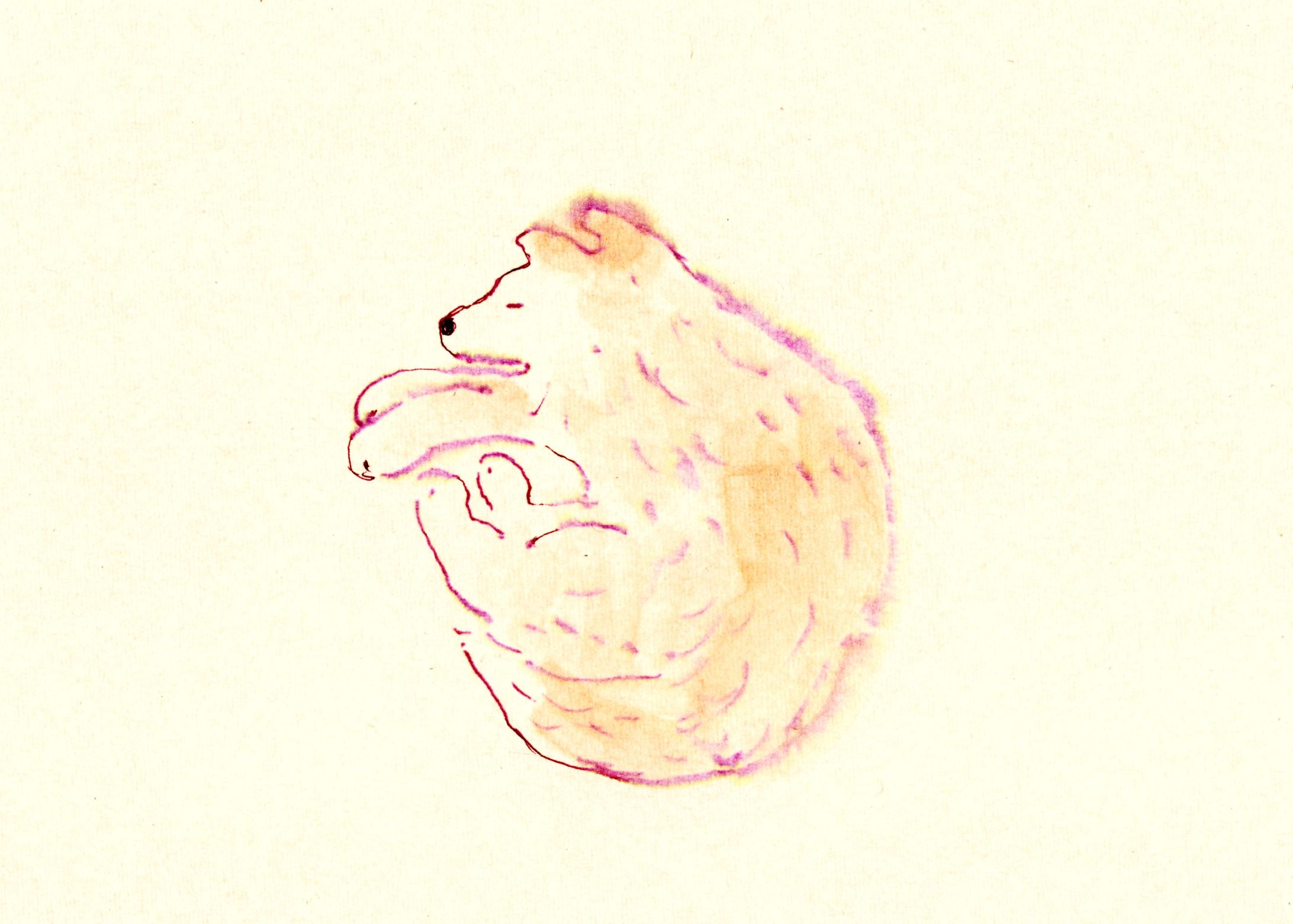 「眠る犬」オリジナルイラスト-1