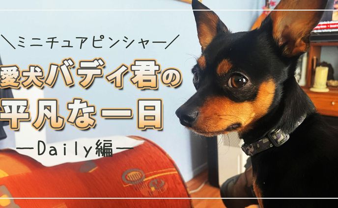 thumbnail、企業pr