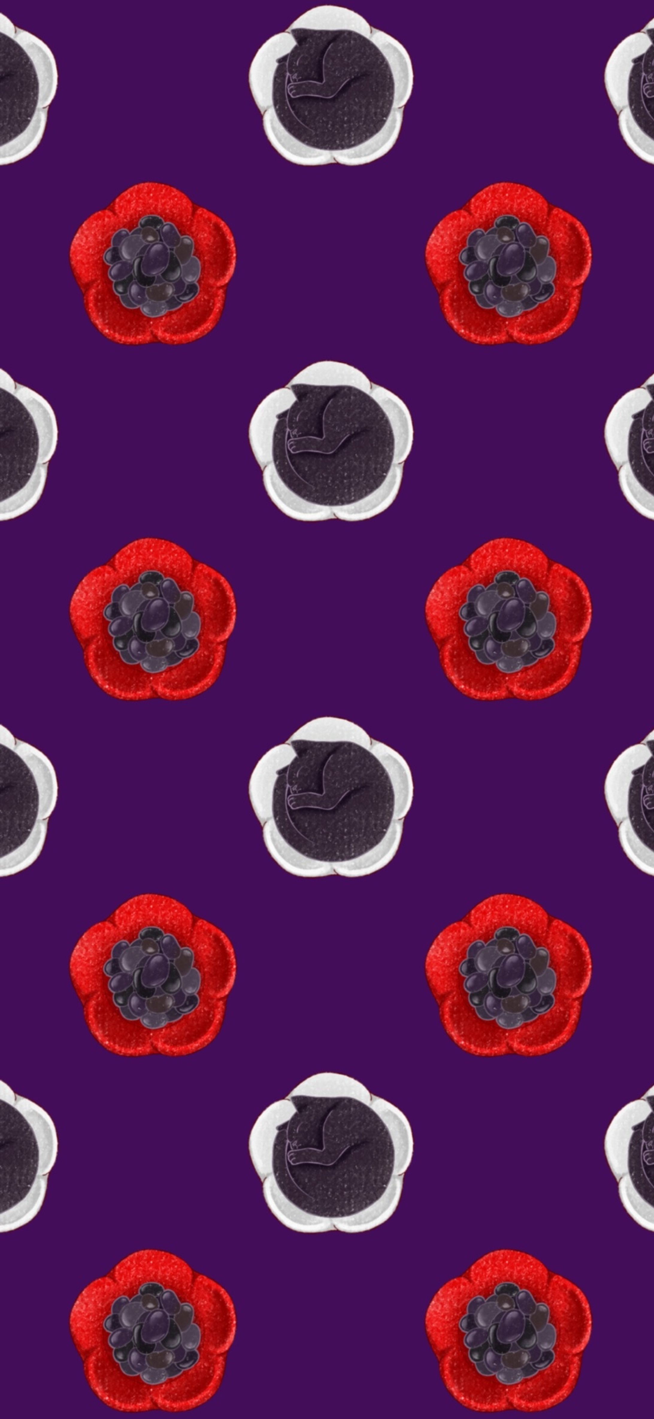 【自主制作】お正月料理と猫（スマホ壁紙）-1