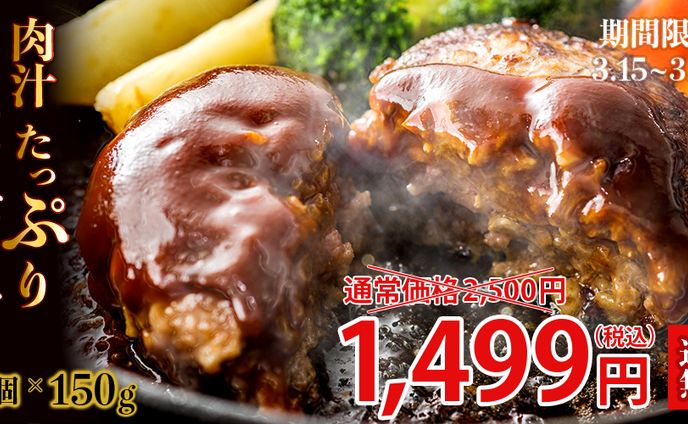 ECサイト用画像 〜ハンバーグ〜