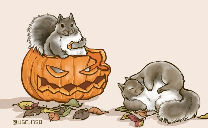 ハロウィンの時期に激太りするリス