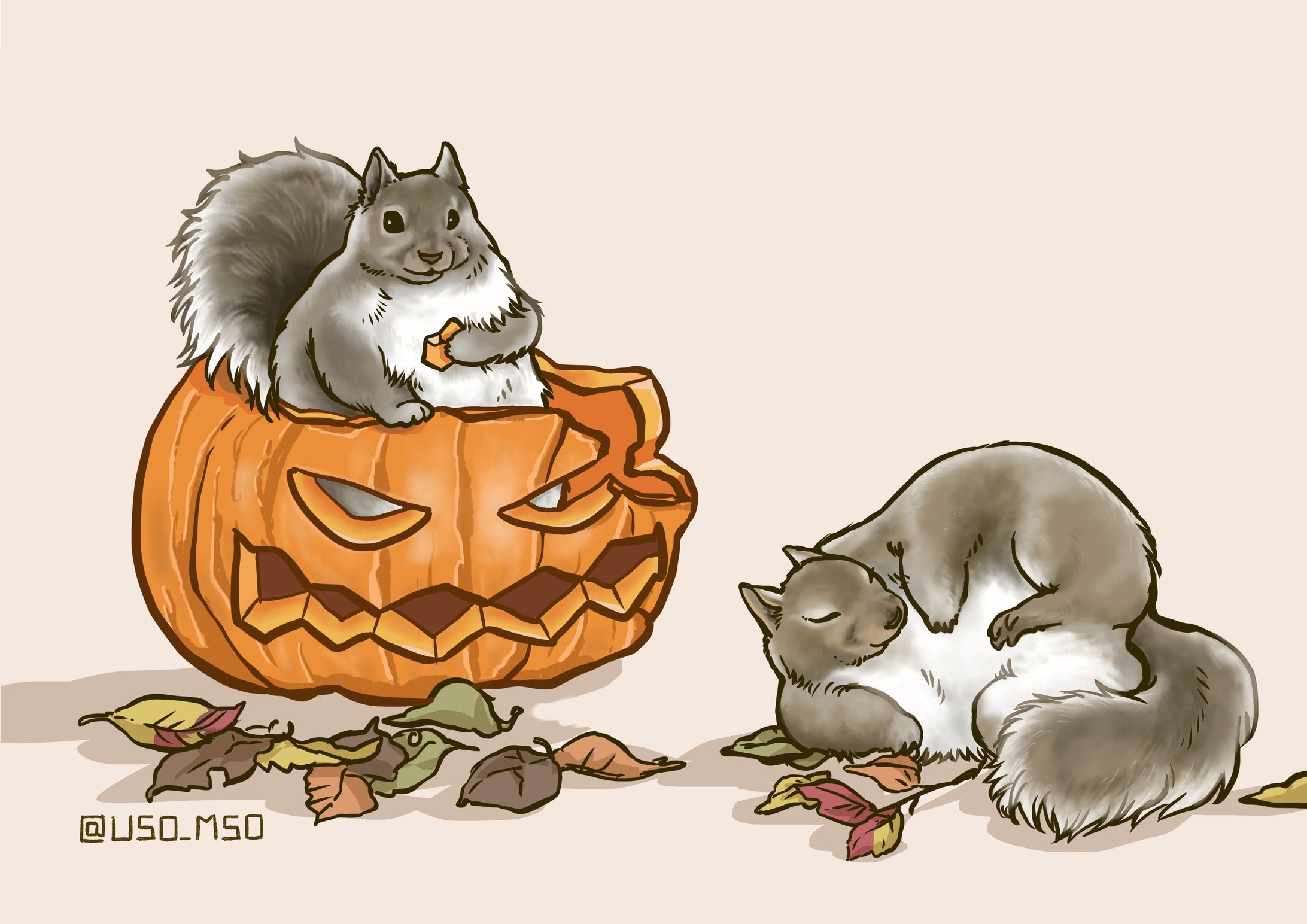 ハロウィンの時期に激太りするリス-1