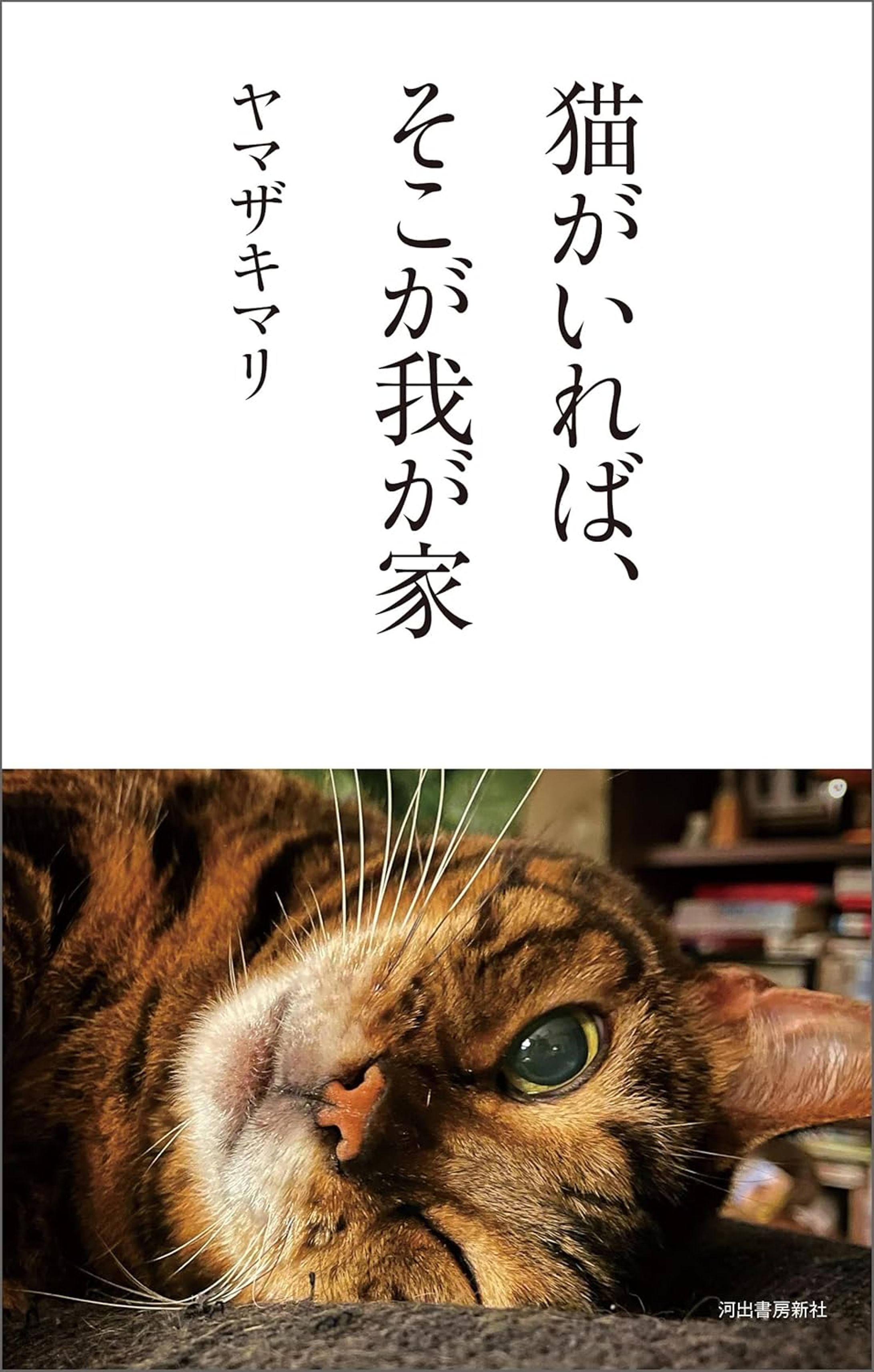 猫がいれば、そこが我が家-1