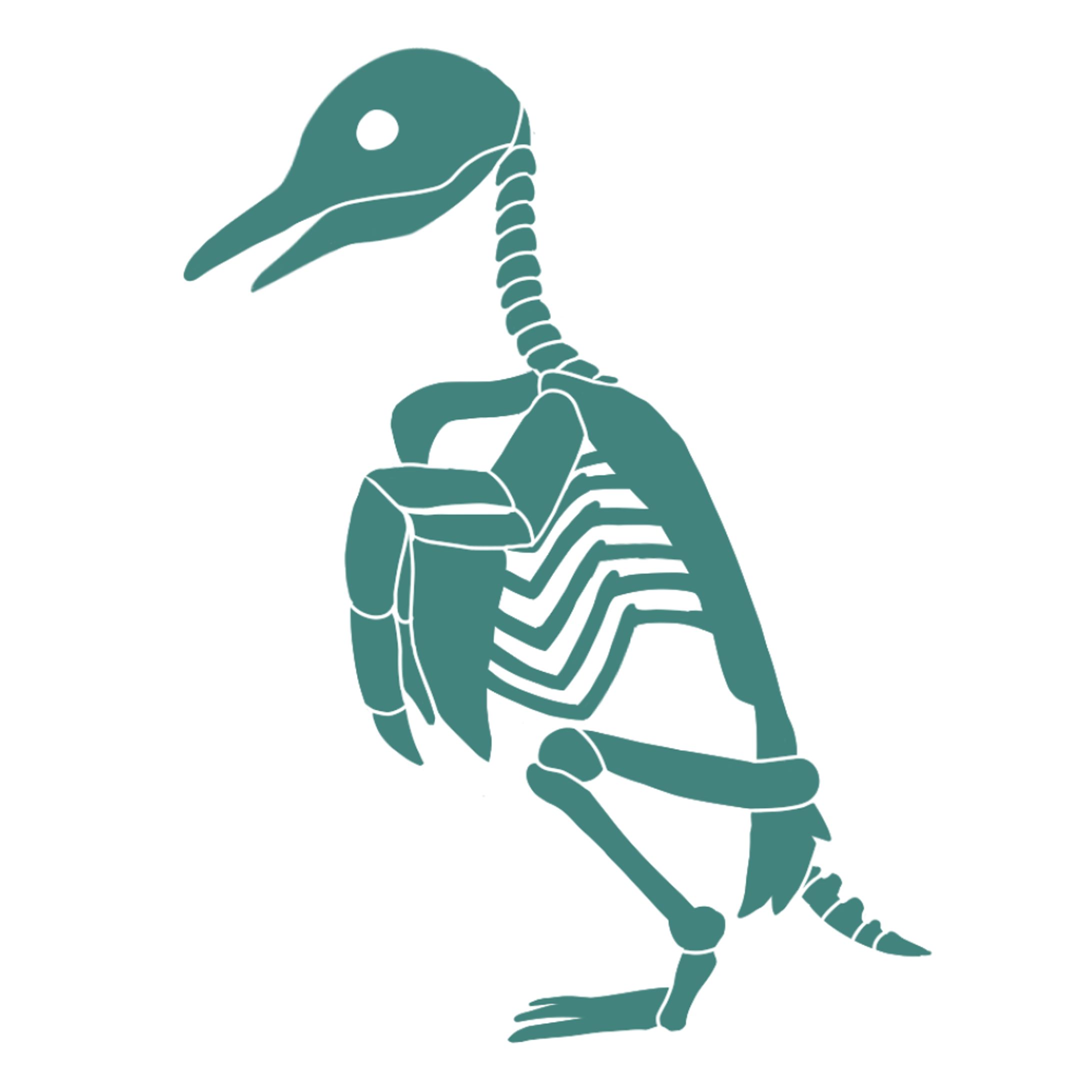 ペンギンの骨格-1