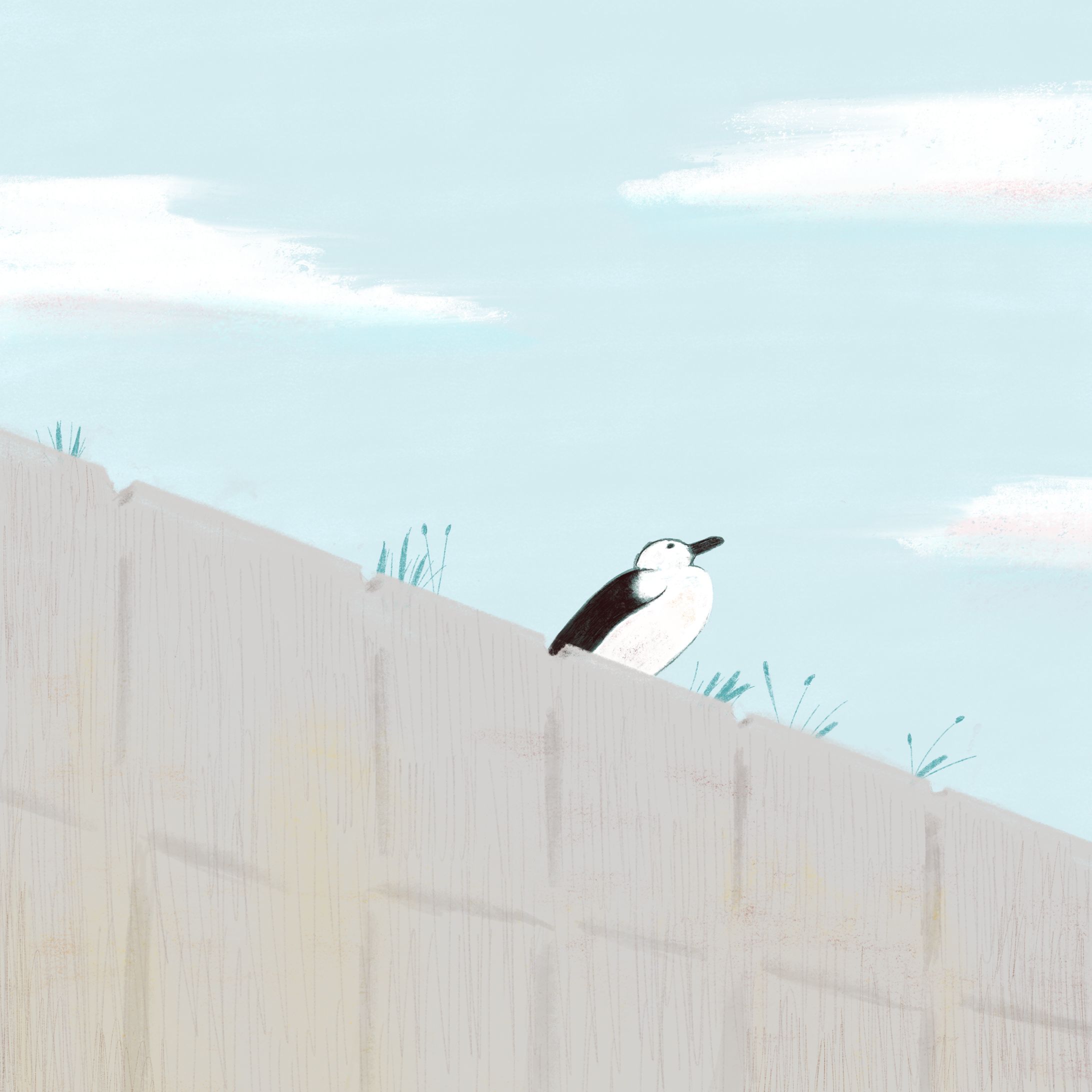 カモメ、空、運河。-1