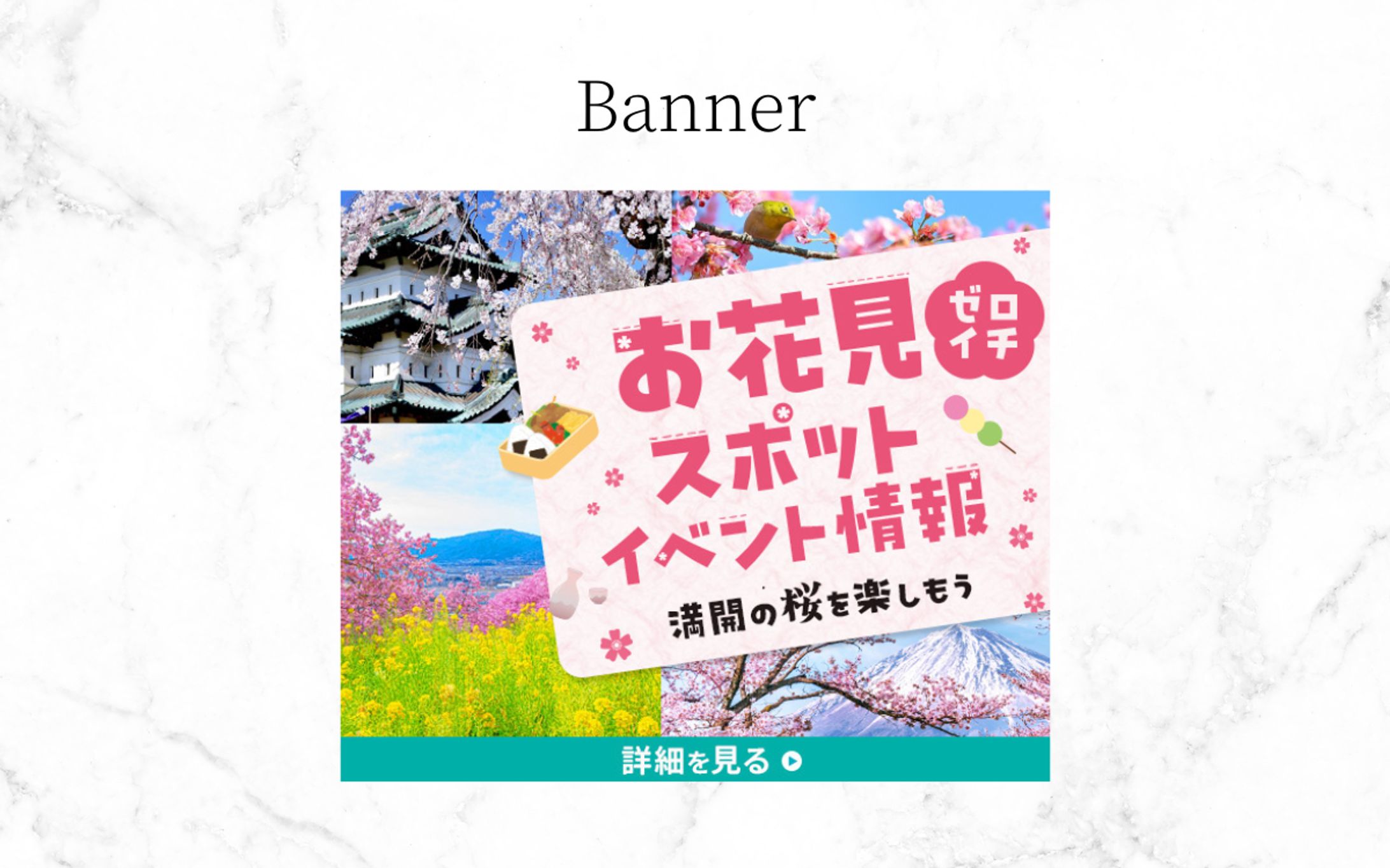 バナー|お花見イベント情報-1