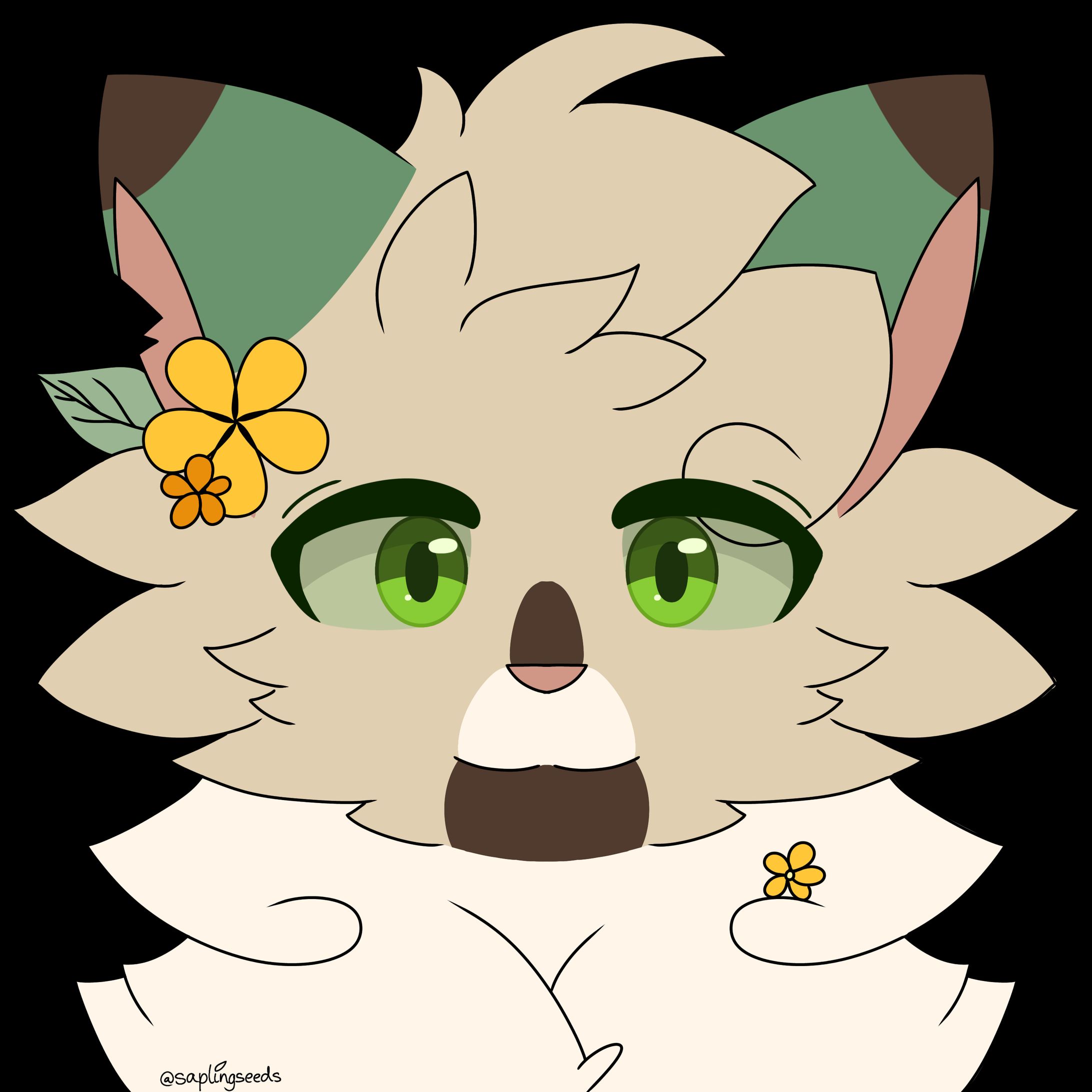 turtlebreeze-1