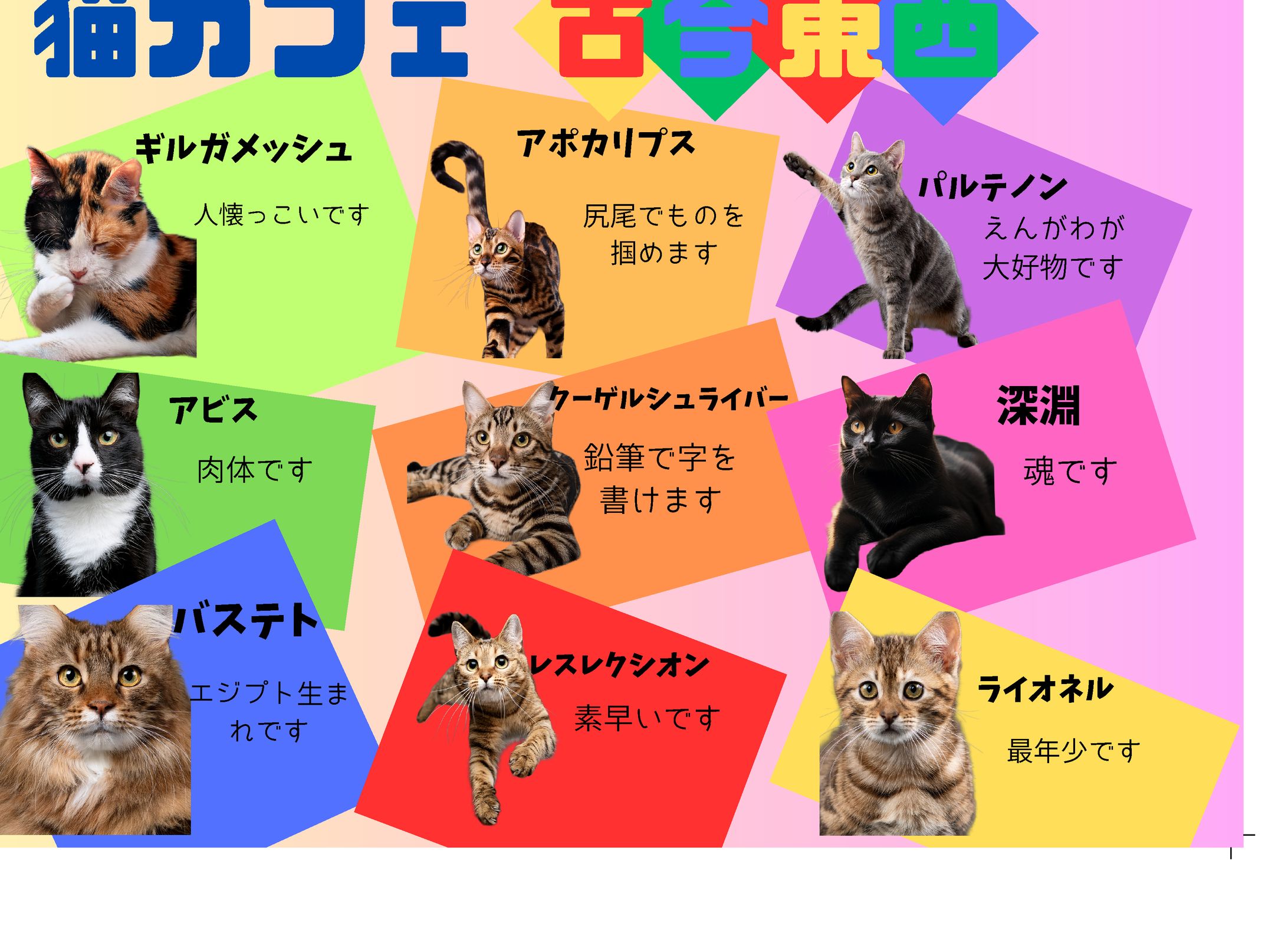 猫カフェ　古今東西-1