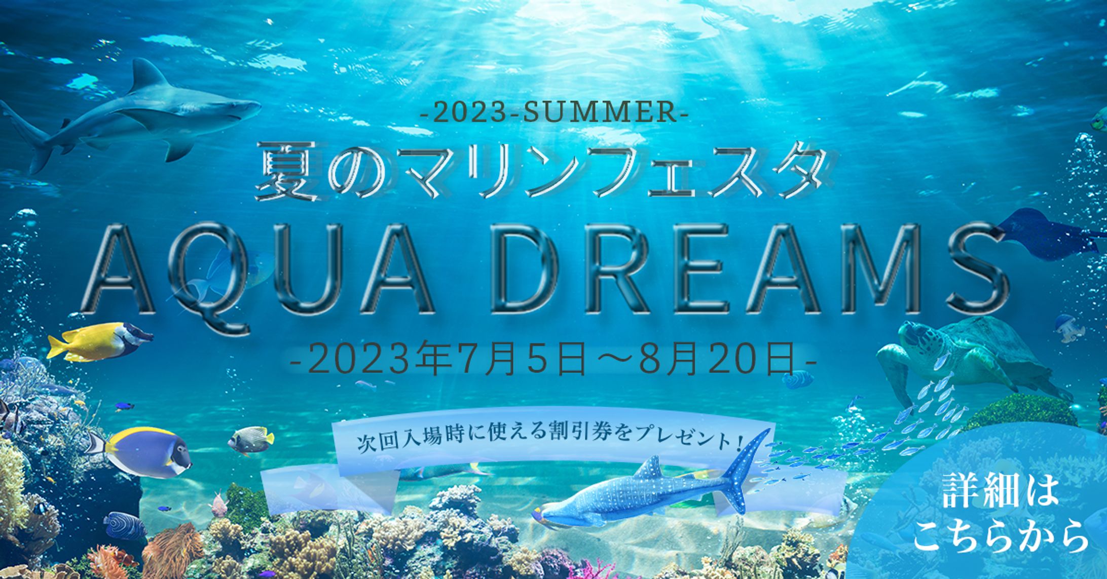 水族館キャンペーンバナー-1