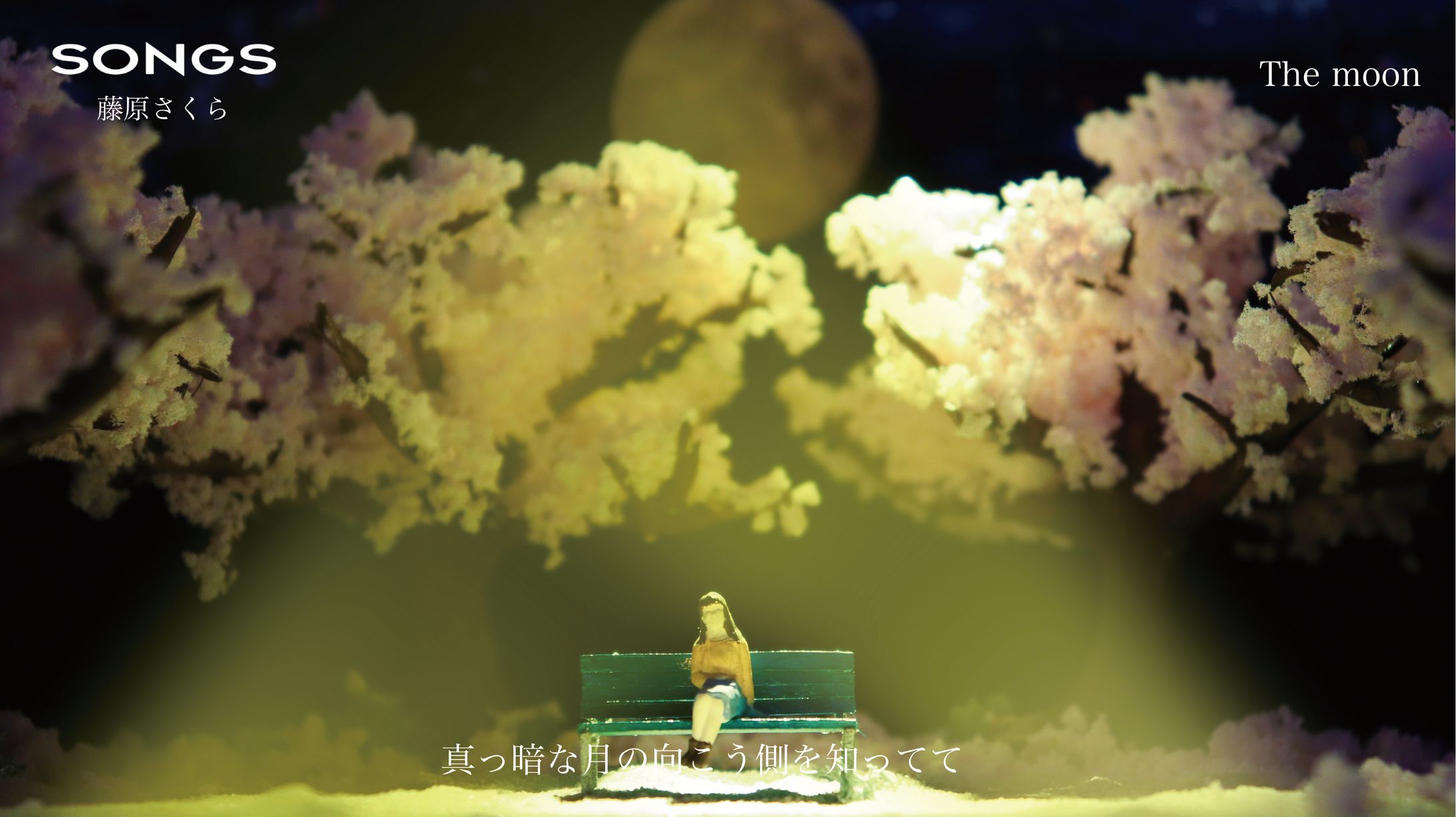 藤原さくら The moon-1
