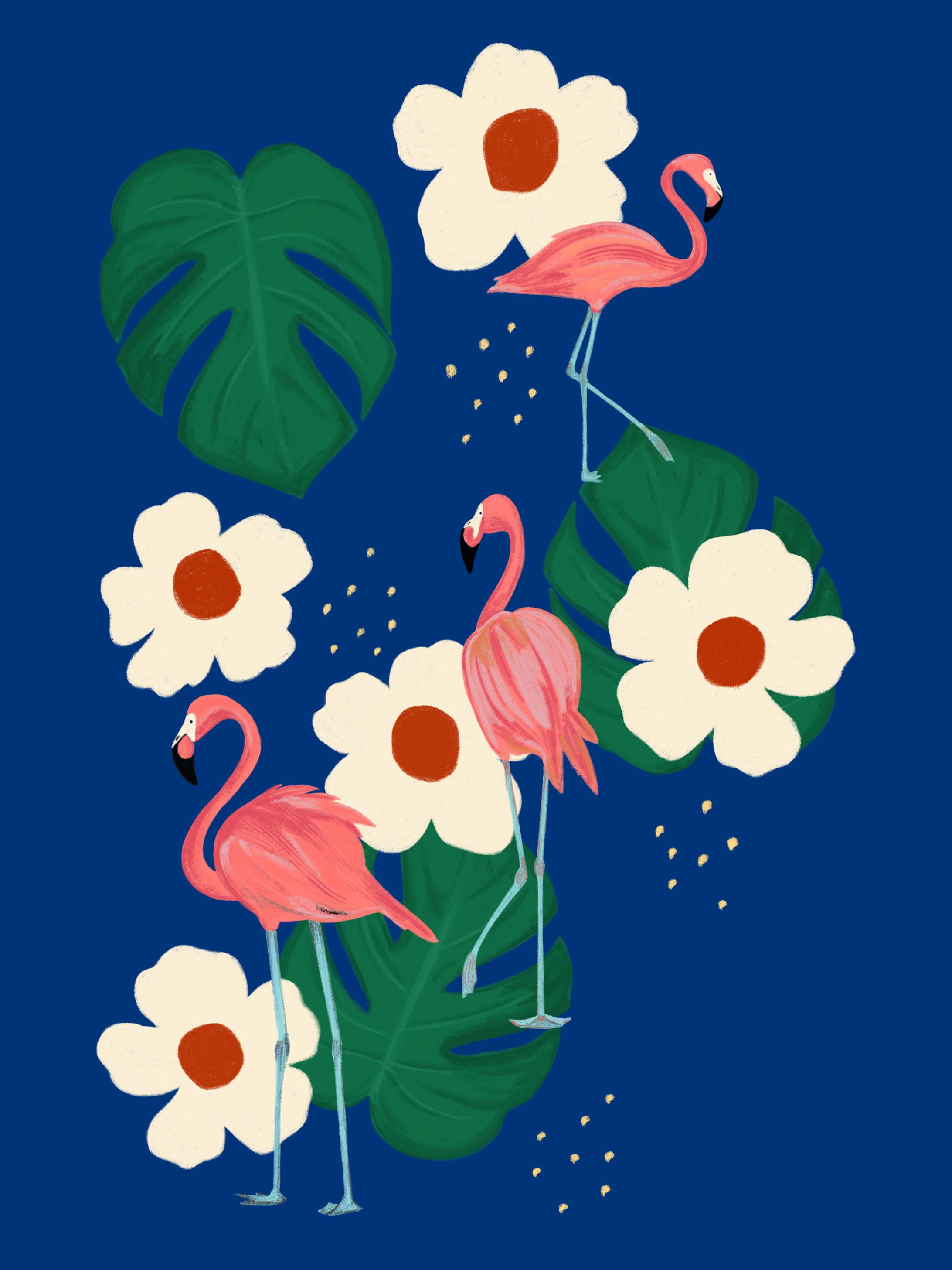 フラミンゴの楽園-1