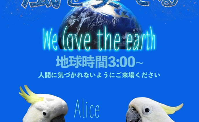 動画、elle