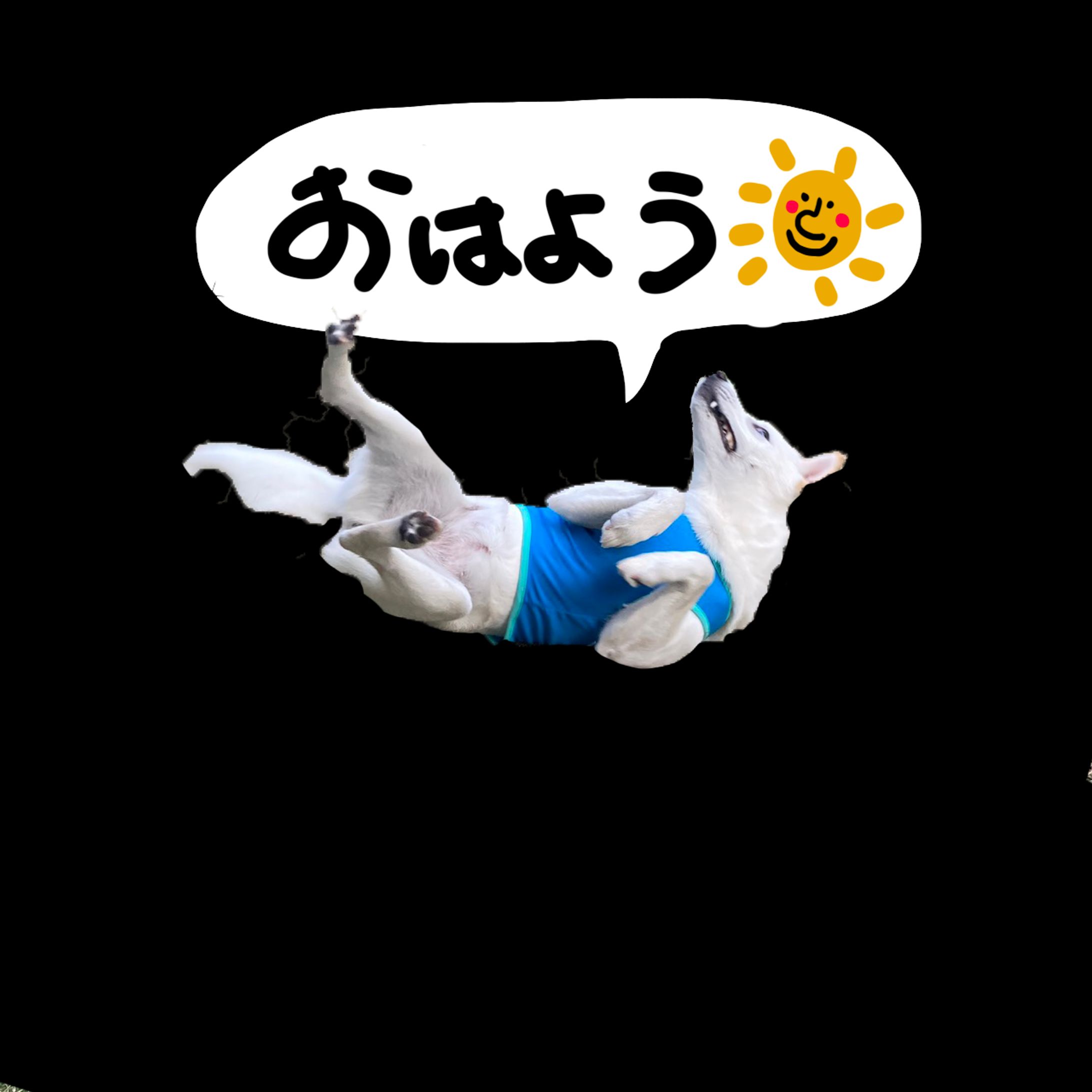 愛犬のラインスタンプ 作成/友人依頼-1