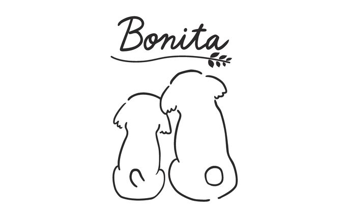 制作実績　Bonita様