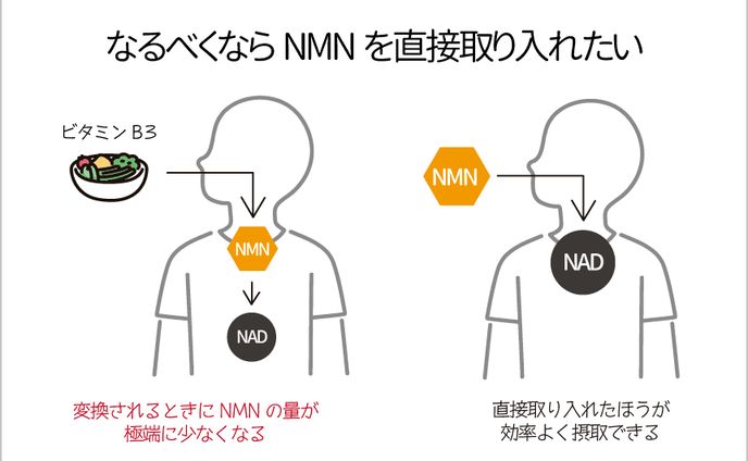 記事内画像