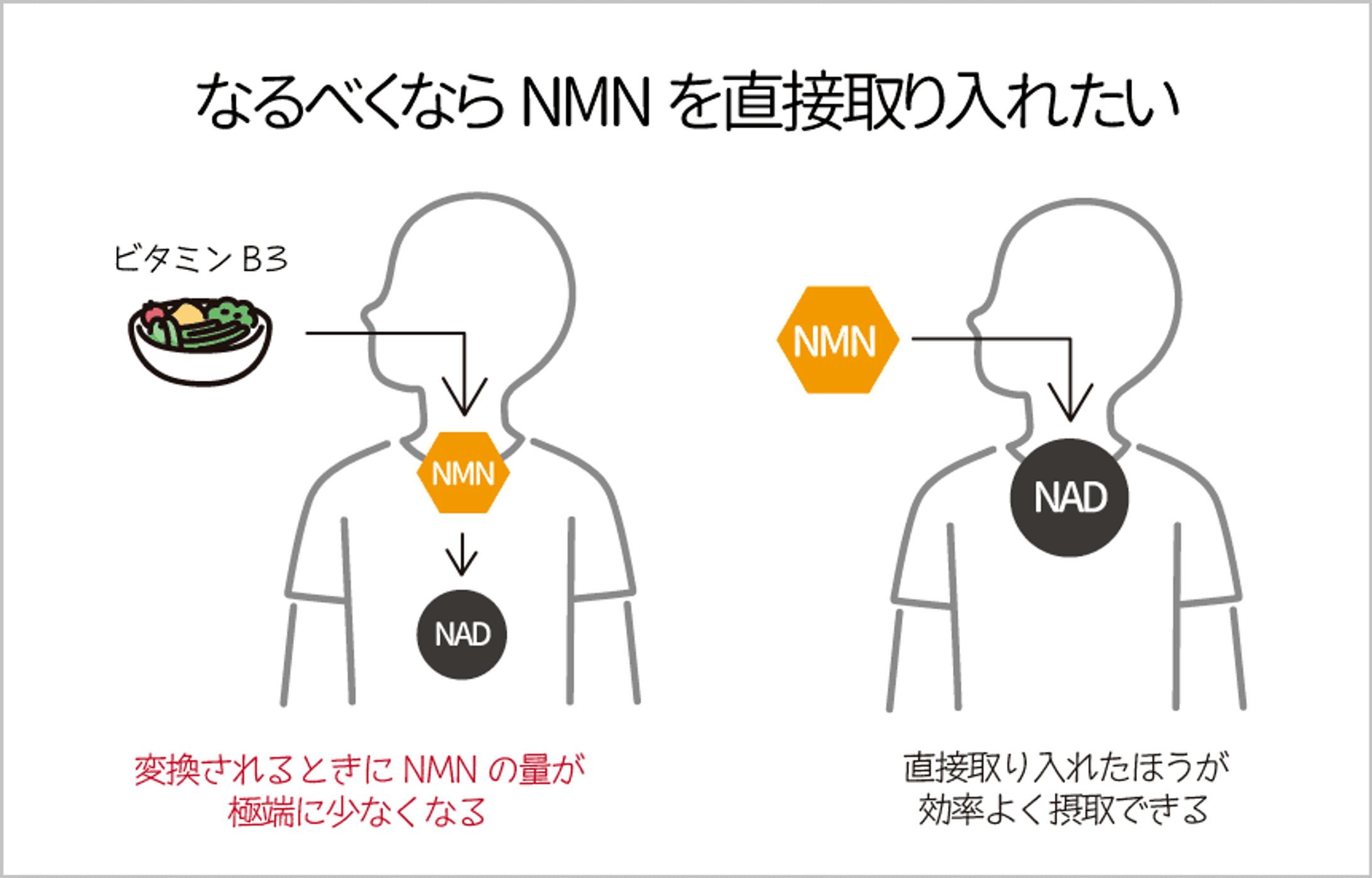 記事内画像-1