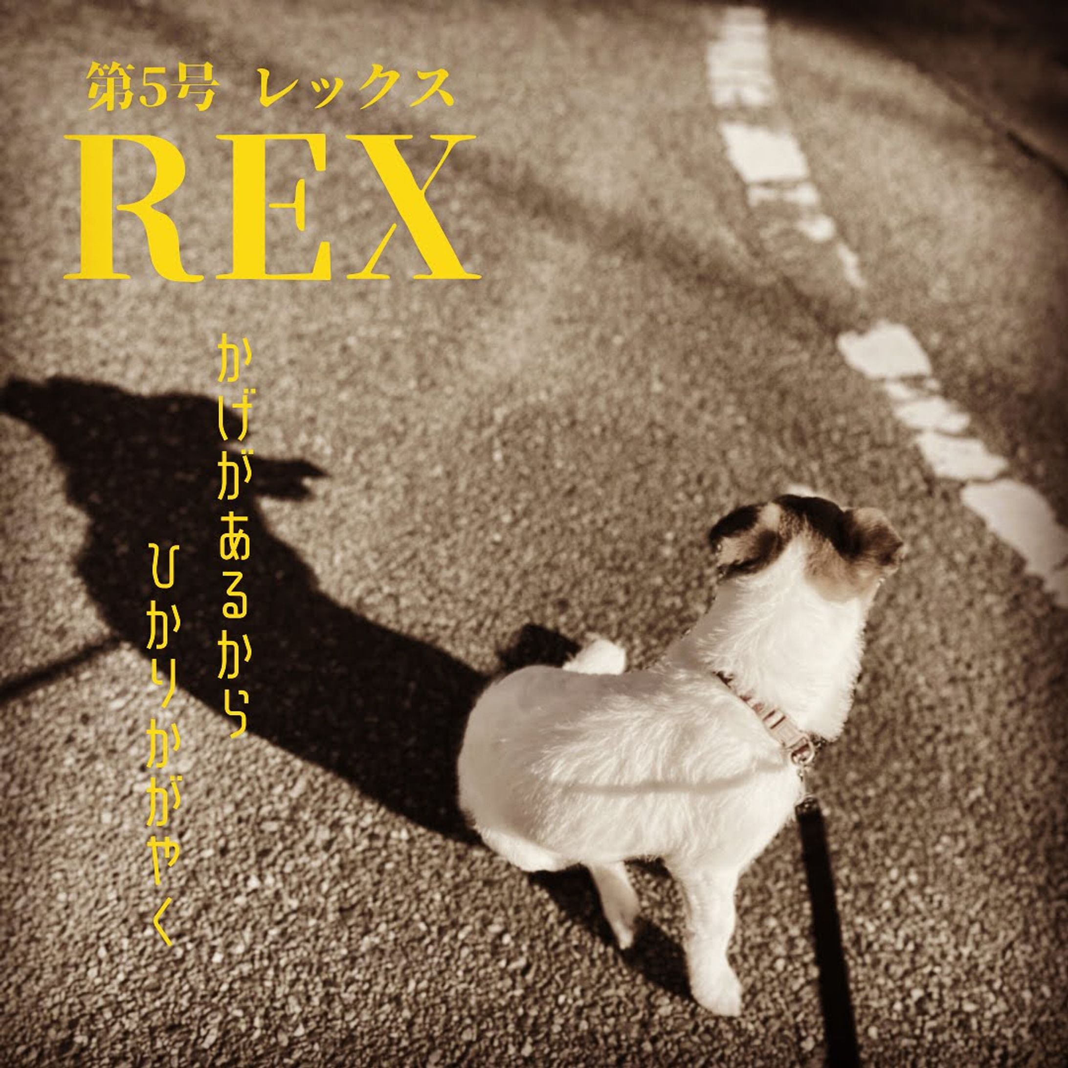 Canva/雑誌風デザイン（5）-1