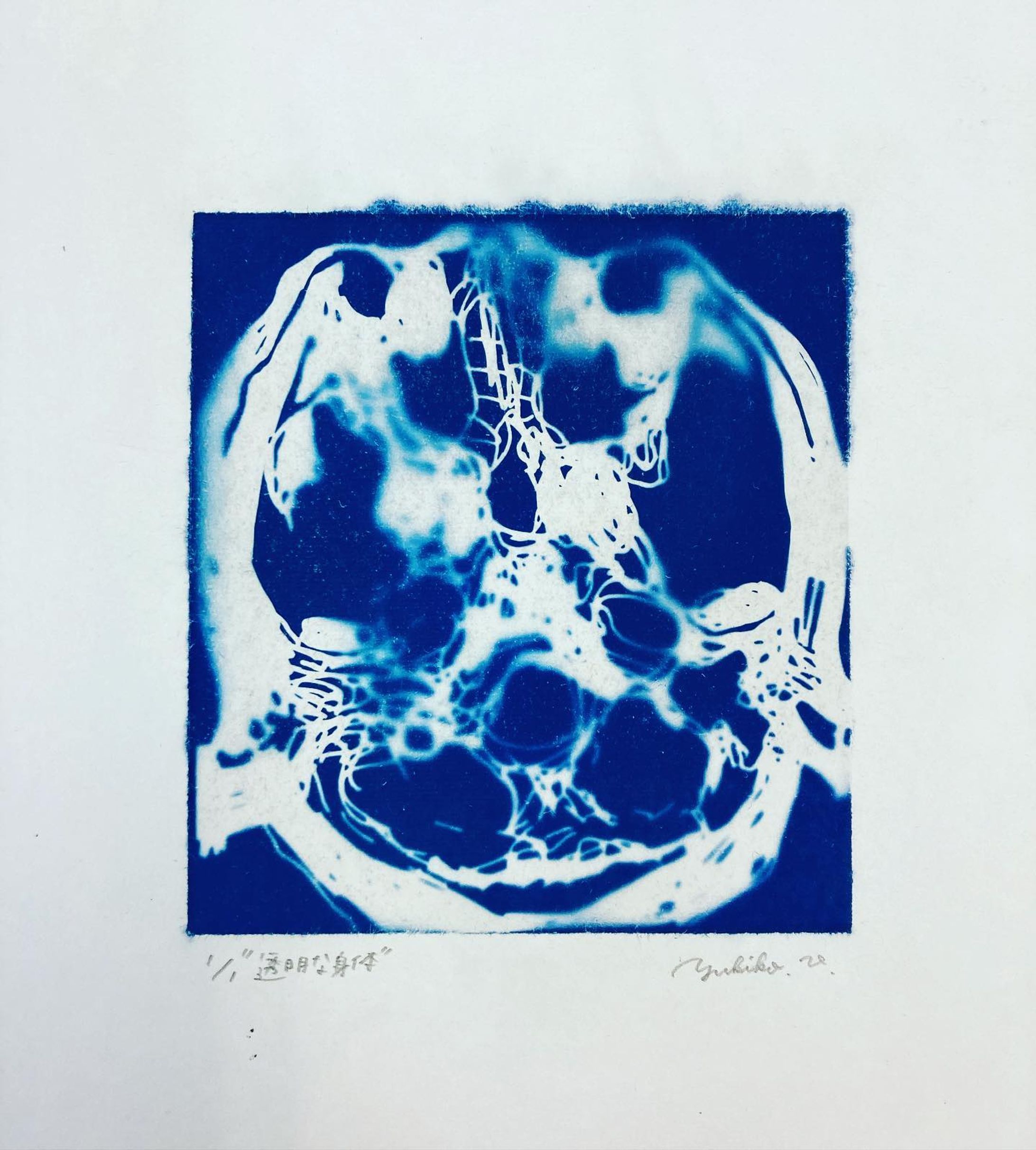 "透明な身体"

生きることと死ぬことは表裏一体。

自作のネガを感光しています
#cyanotype 
#drawing 
#版画
#printart 
#artworks
#comtenporaryart-1