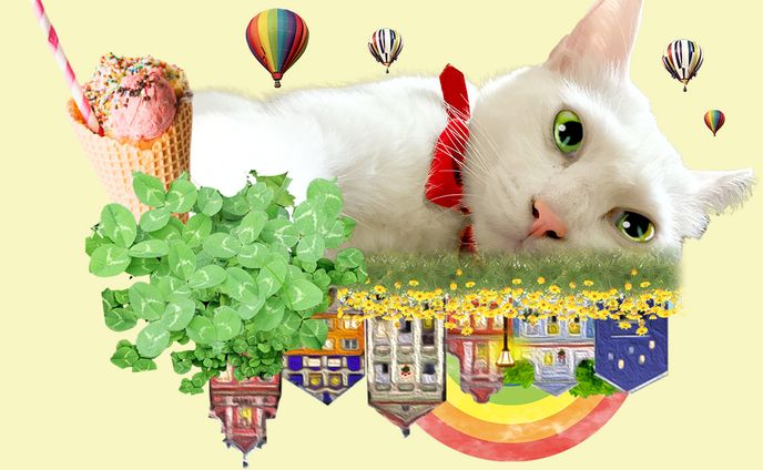 【コラージュ】猫と風景