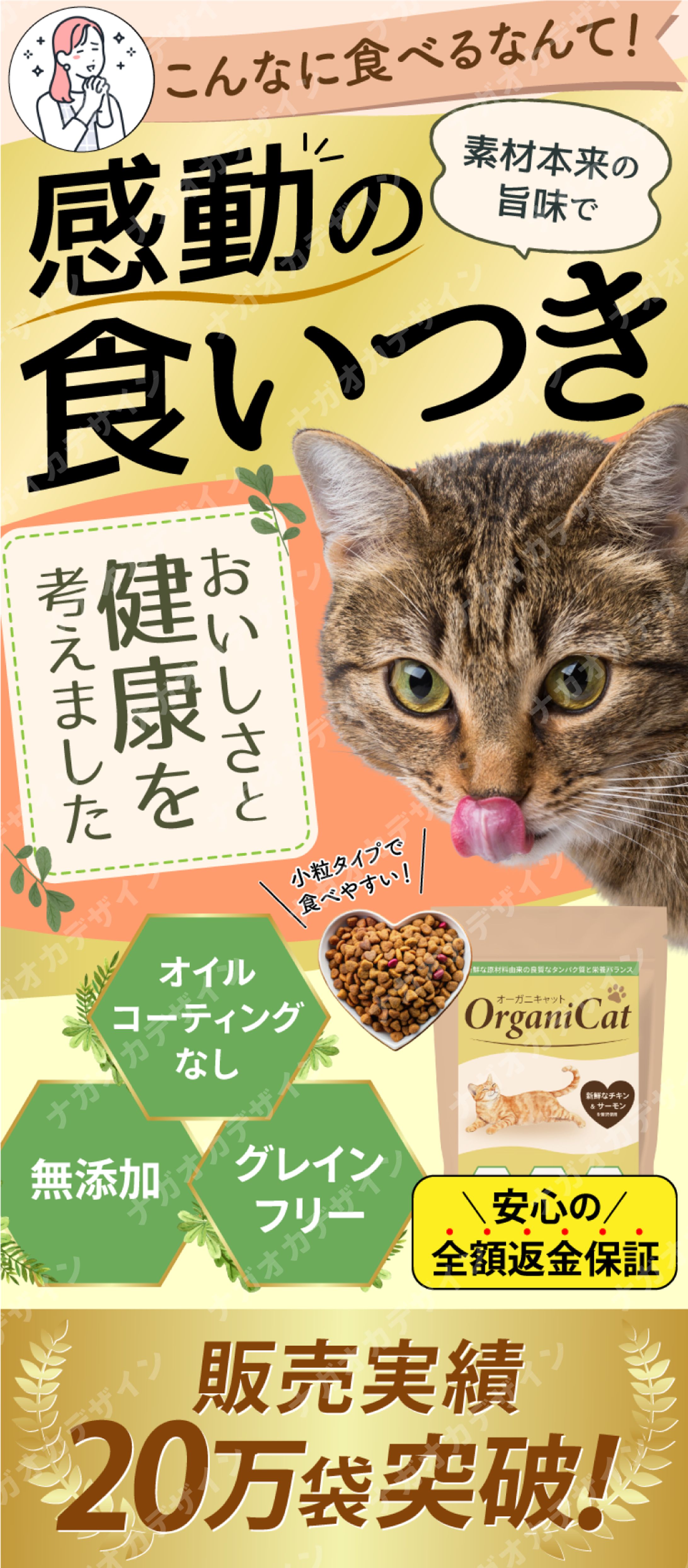 キャットフード（SPのみ）-1