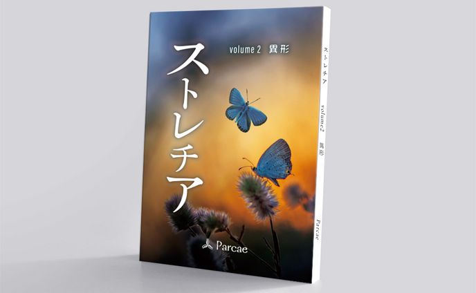 vrc、空間デザイン