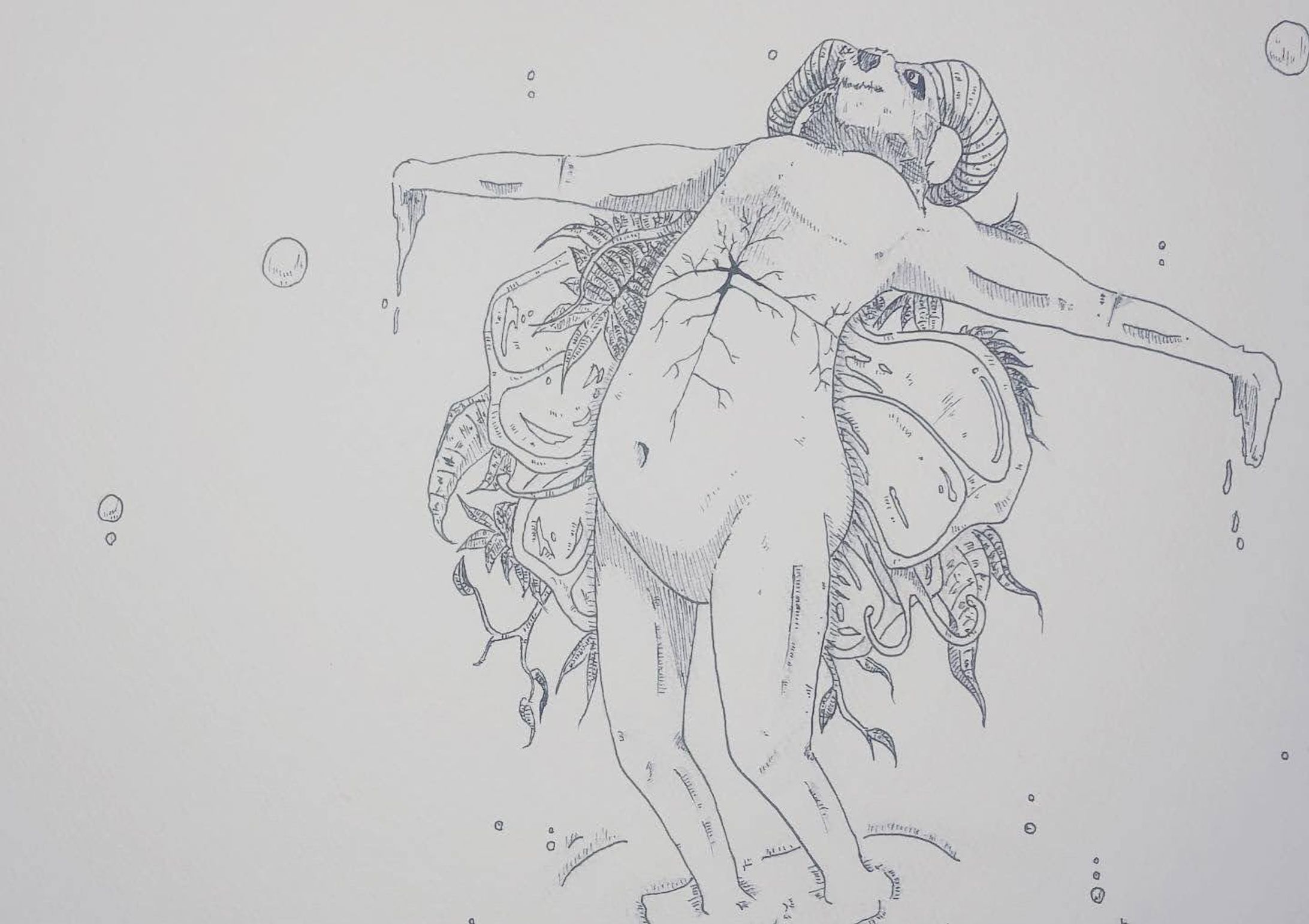 497EB2A2 2D98 49E7 BC90 48B0A36E43E8-1