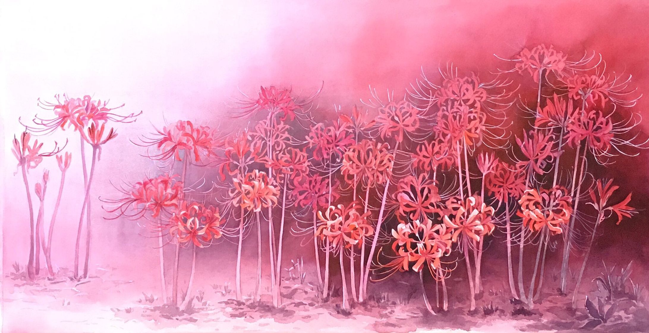 植物-1