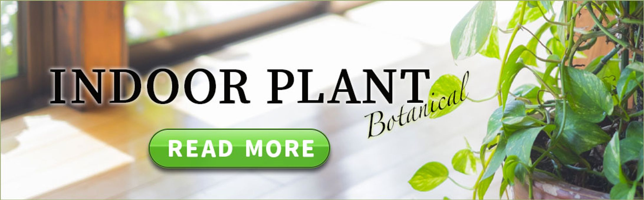 バナー：屋内植物-1