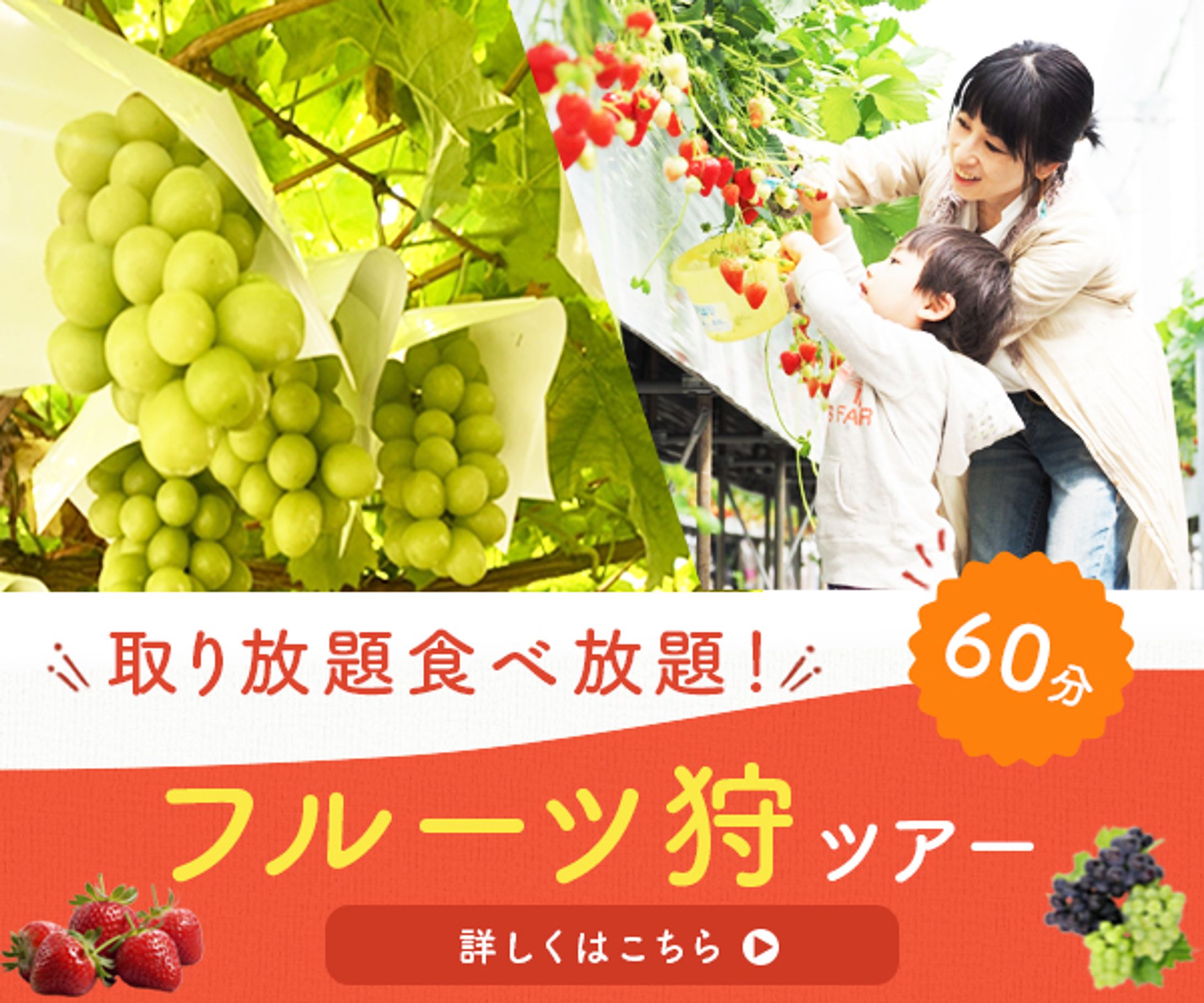 フルーツ狩り-1