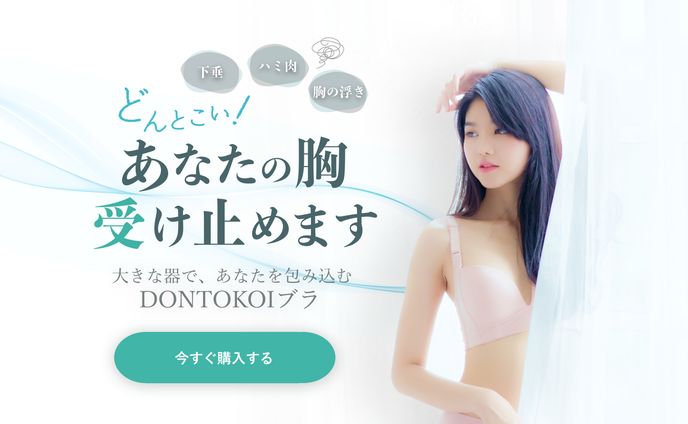 補正下着LP FV