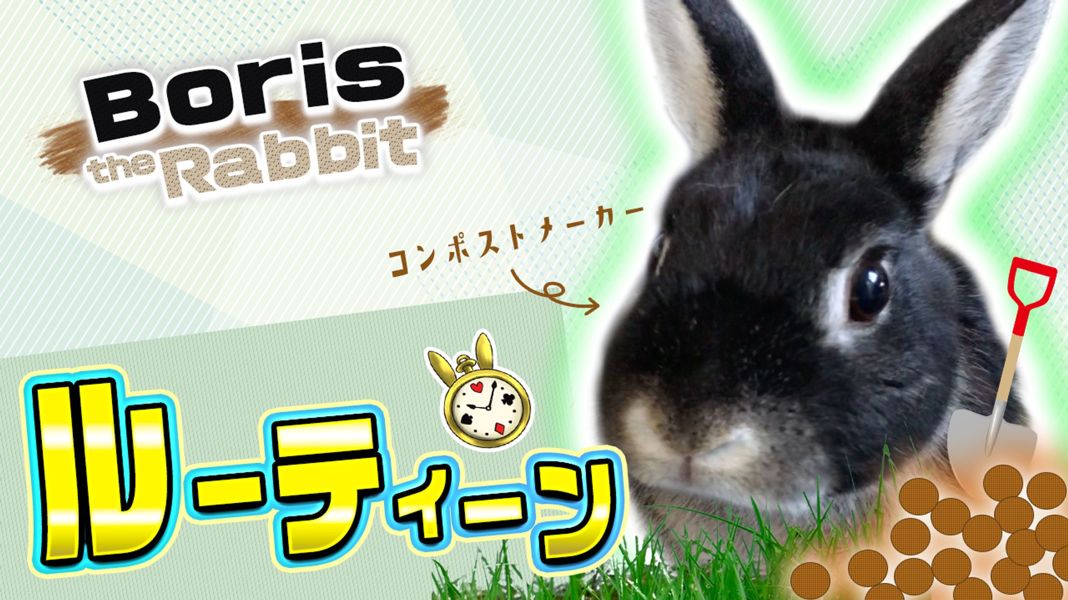 我が家のうさぎのルーティーン動画サムネ-1
