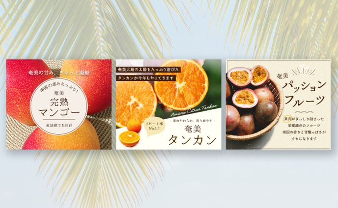 バナーデザイン (奄美自然科学研究所様)