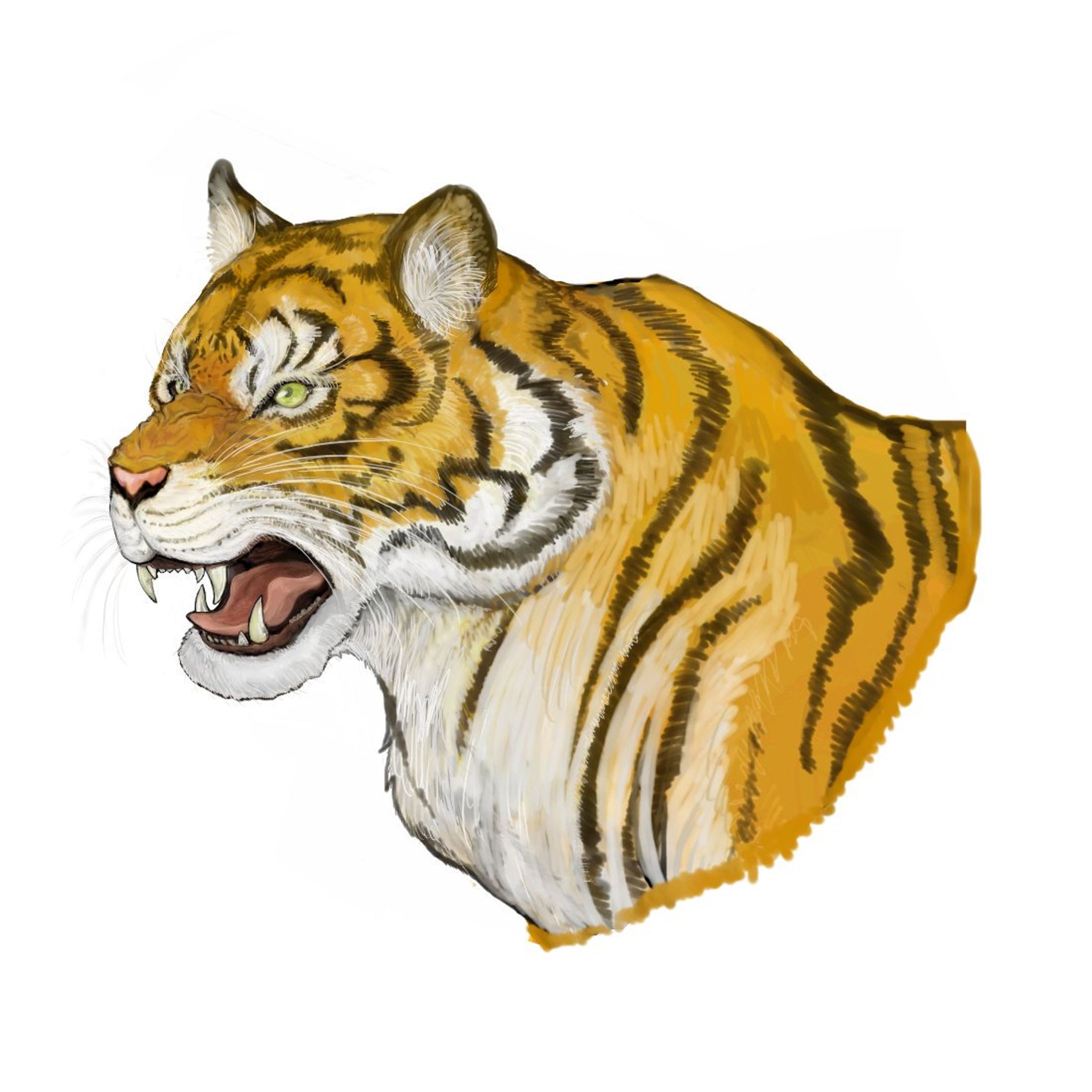 トラ模写-1