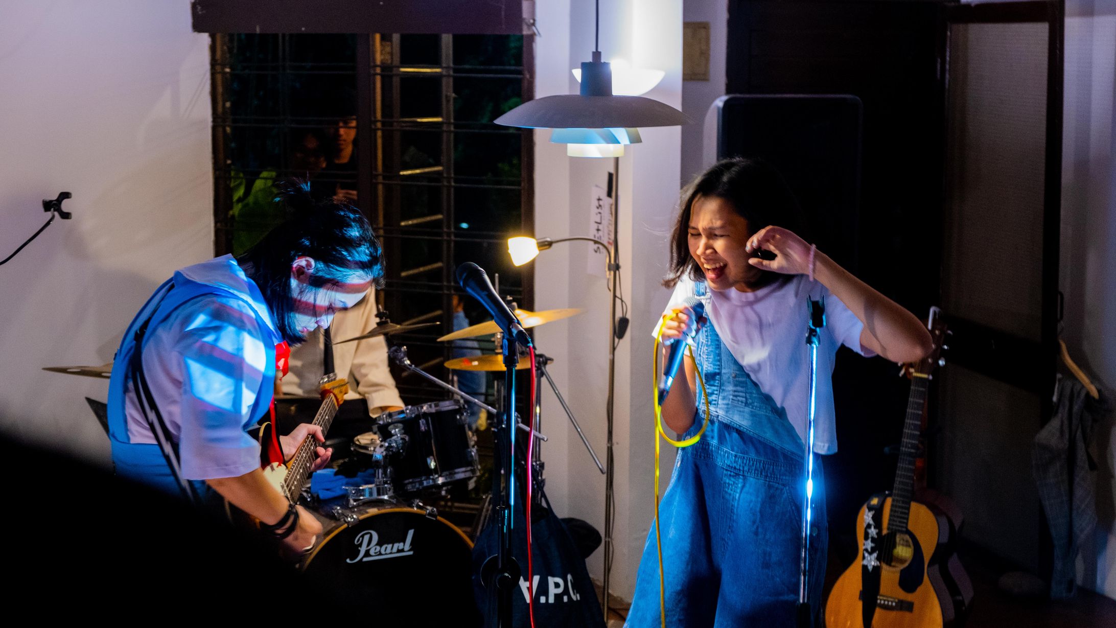 A lil concert in the suburbs-1