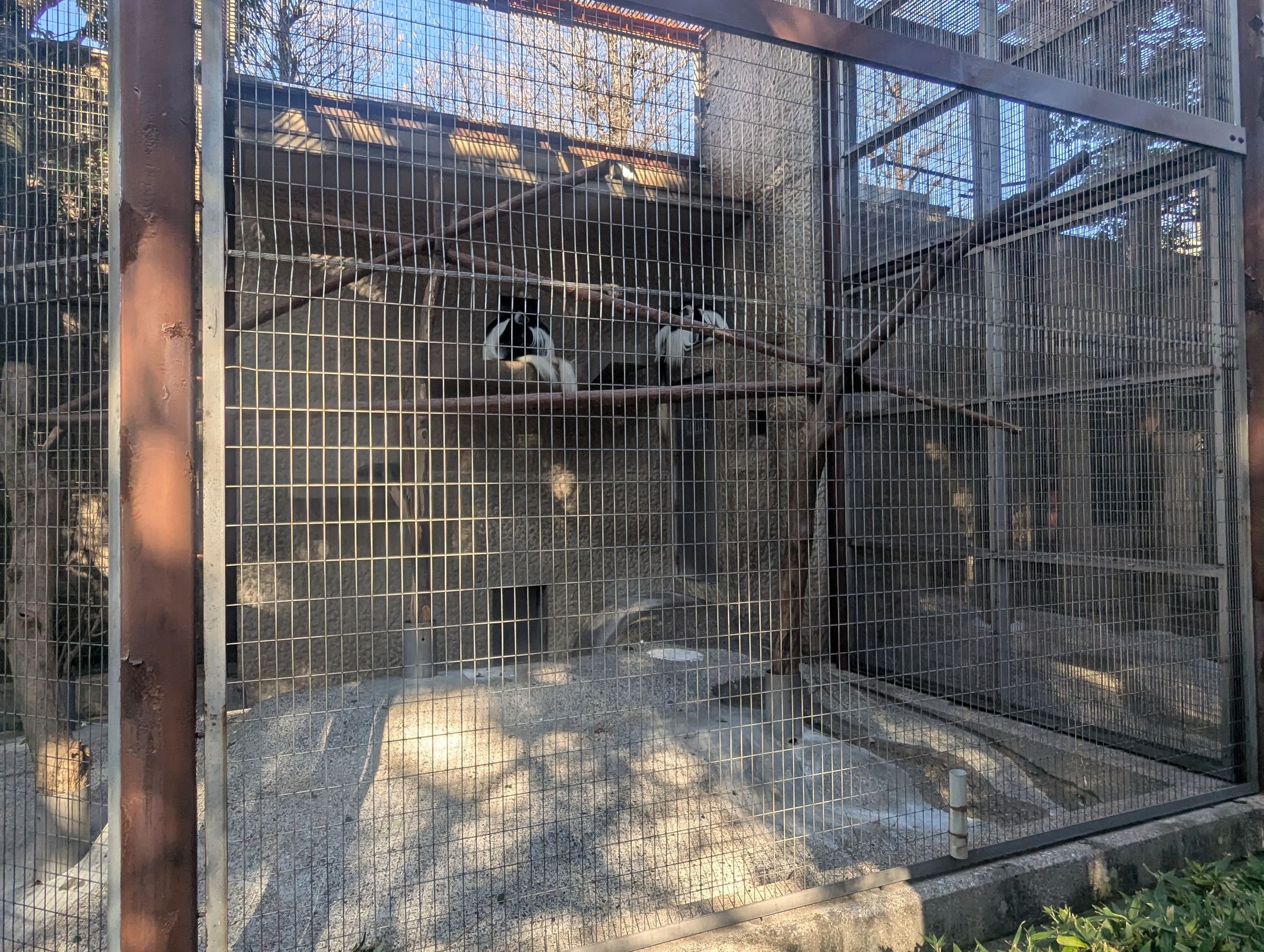 PXL 20260104 024159482-1