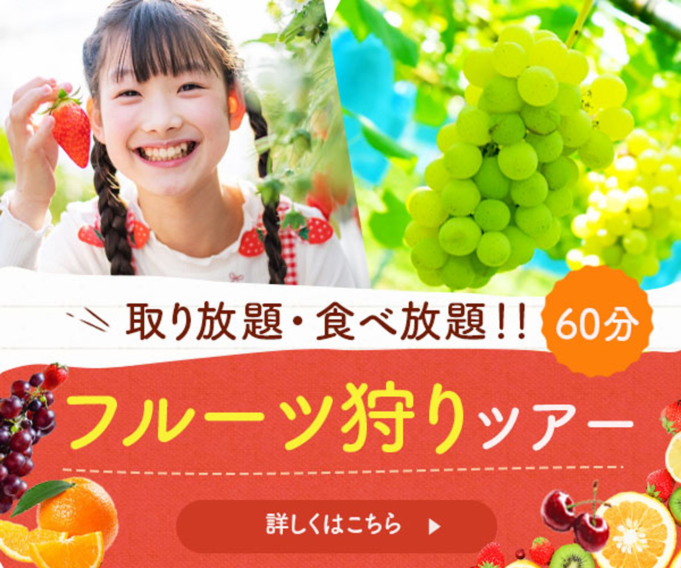 フルーツ狩りツアー-1