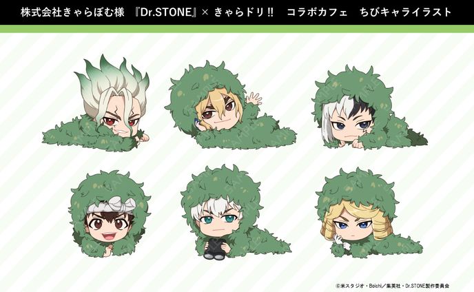 TVアニメ『Dr.STONE』×きゃらドリ!!
