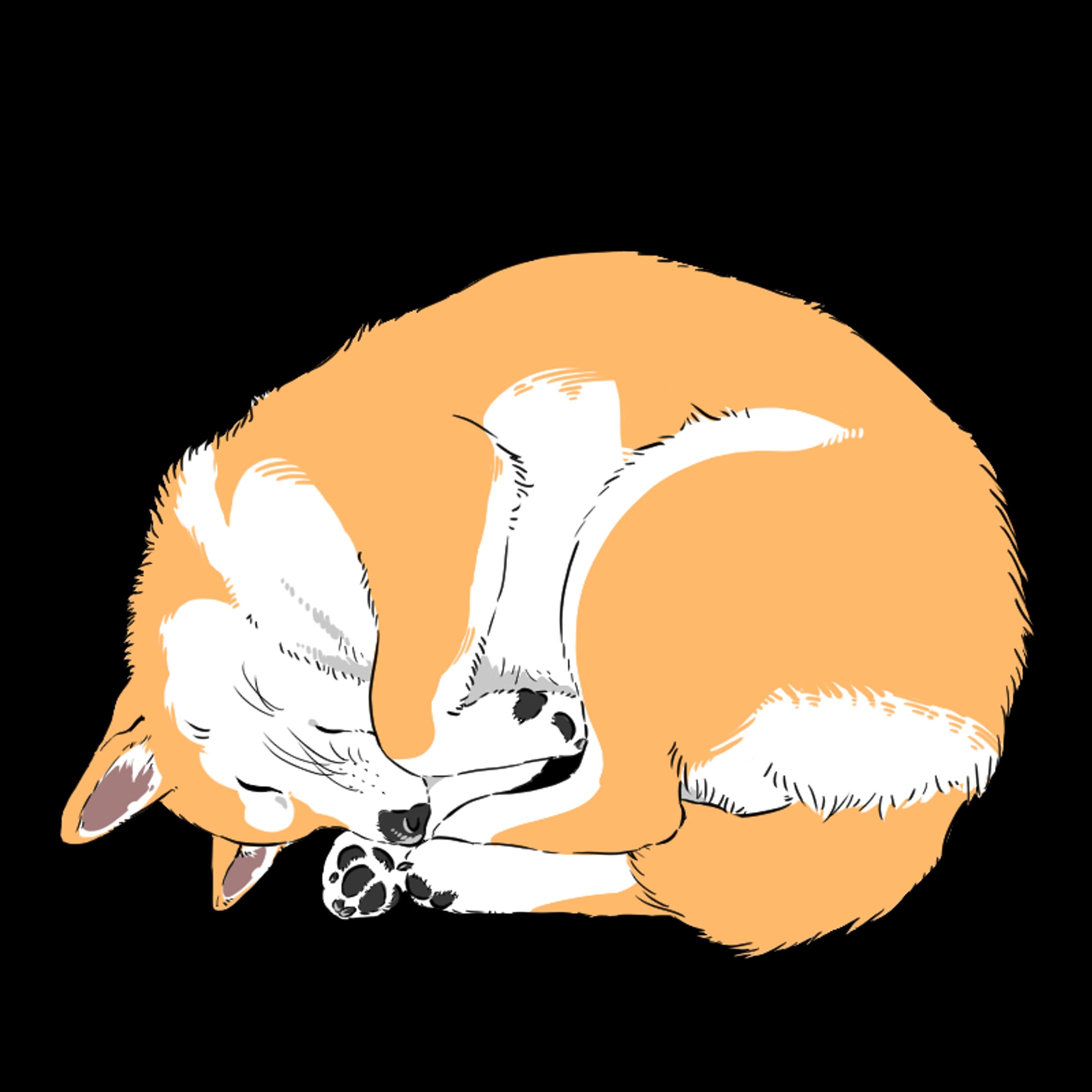 リアル柴犬イラスト-1