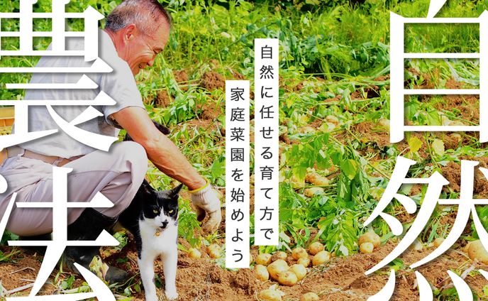 【サンプル】農業・自然系サムネイル