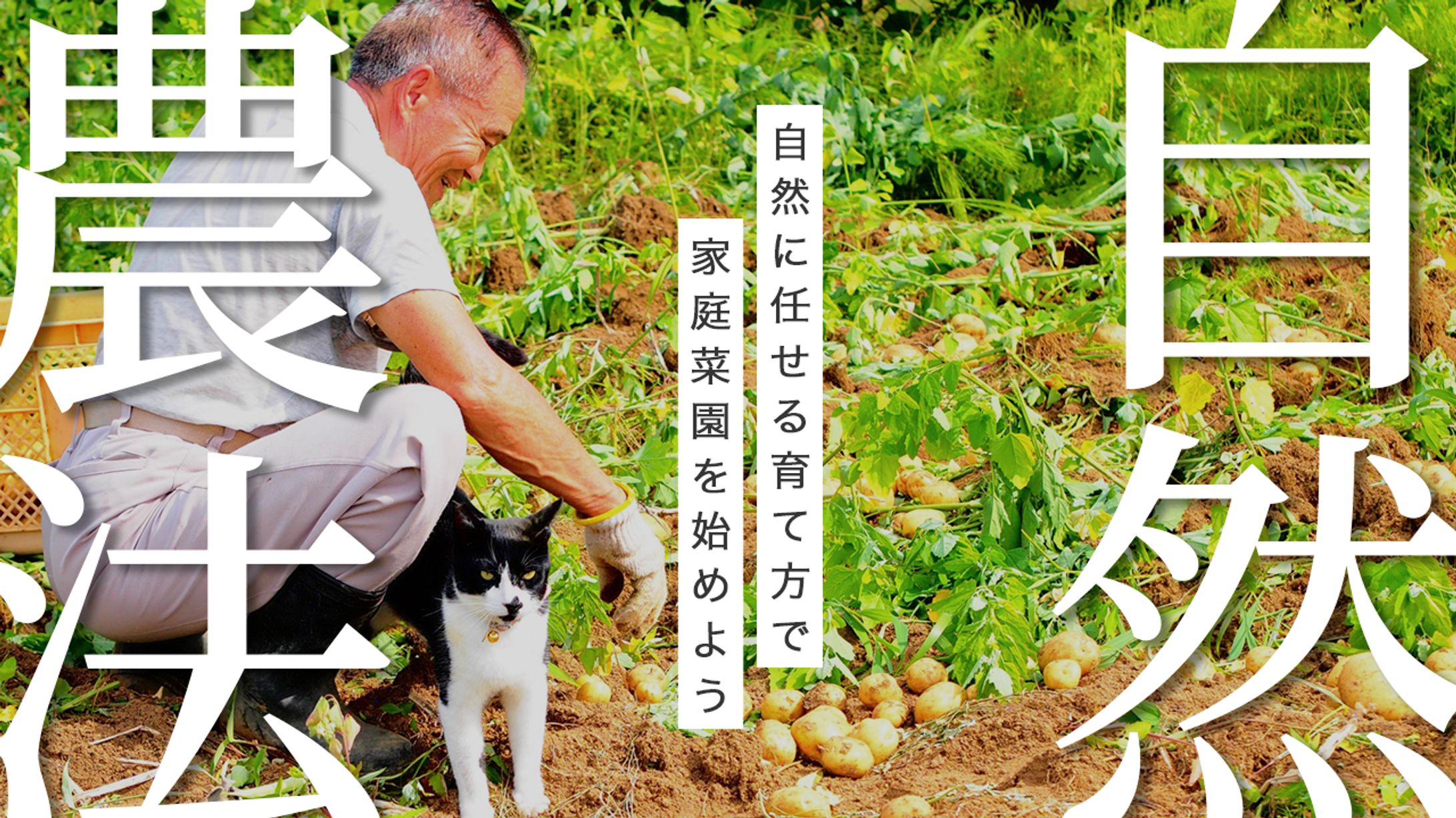 【サンプル】農業・自然系サムネイル-1
