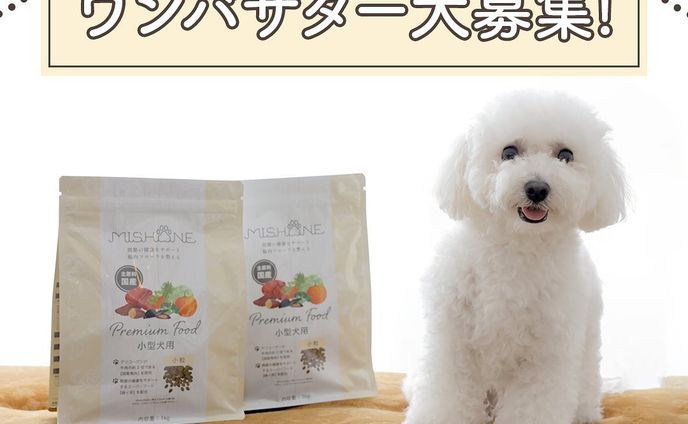 アンバサダー募集キャンペーンバナー