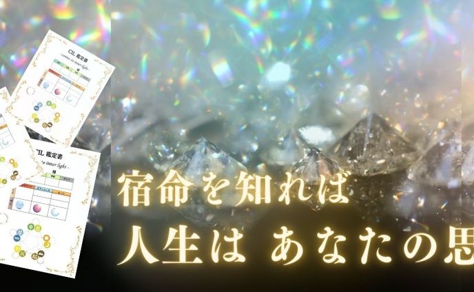 イラスト、鑑定書