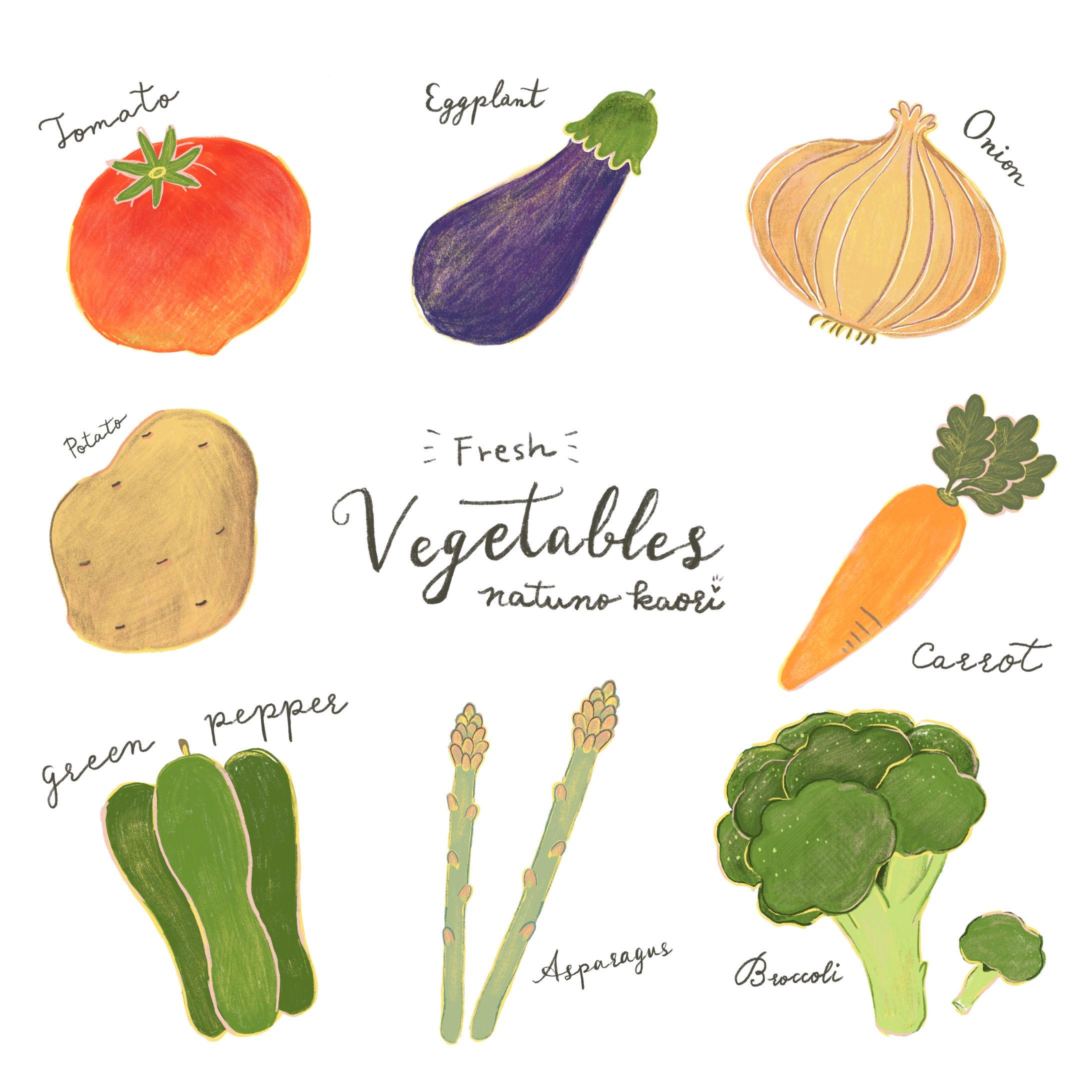 野菜イラスト-1