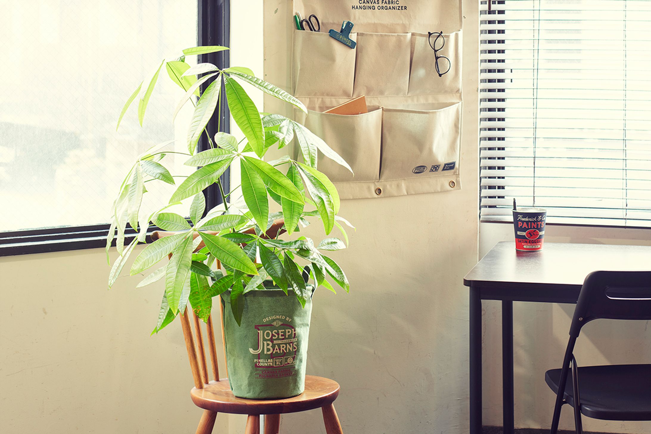 Canvas Storage-1