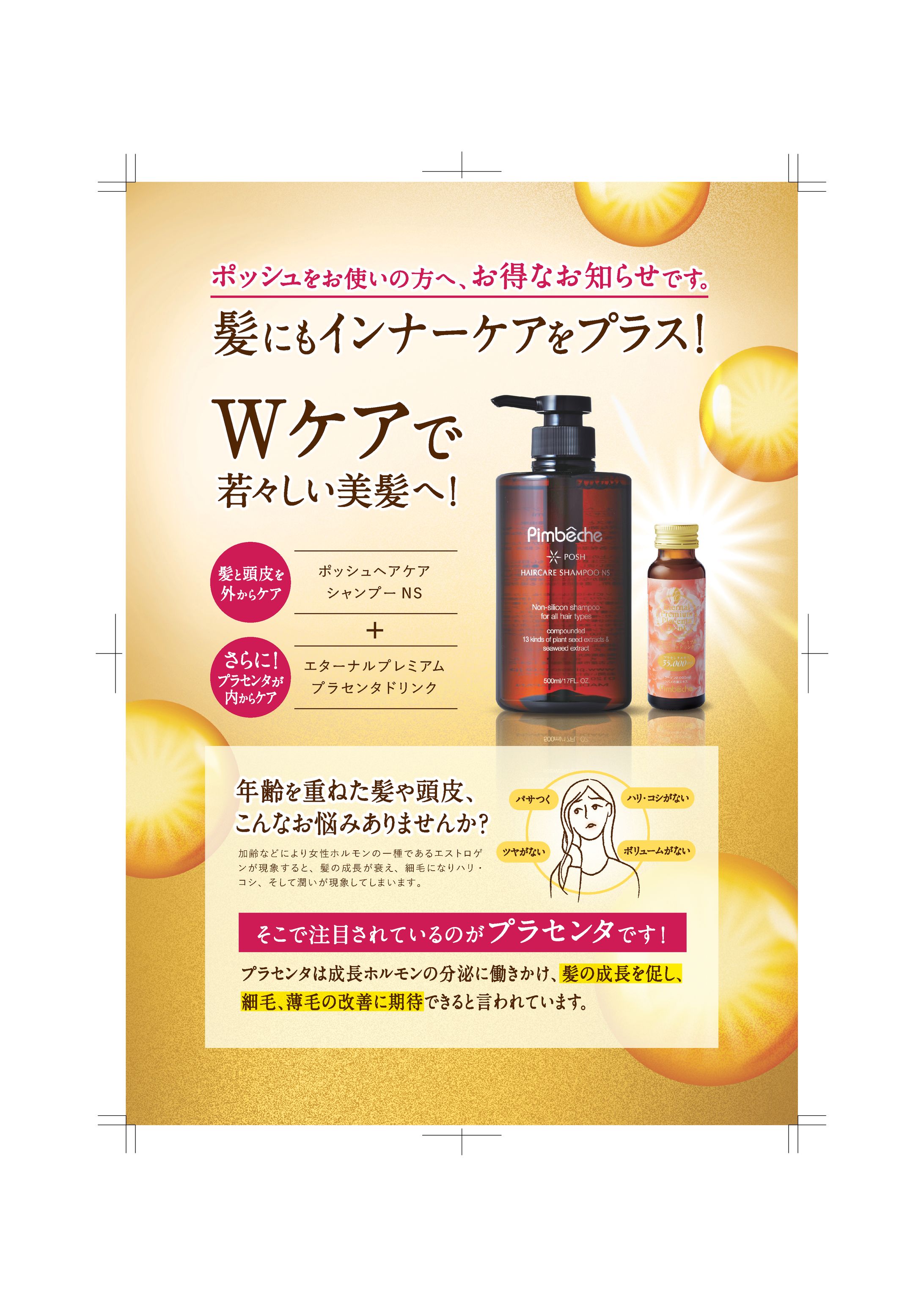 ヘアケア商材 A4チラシ-1