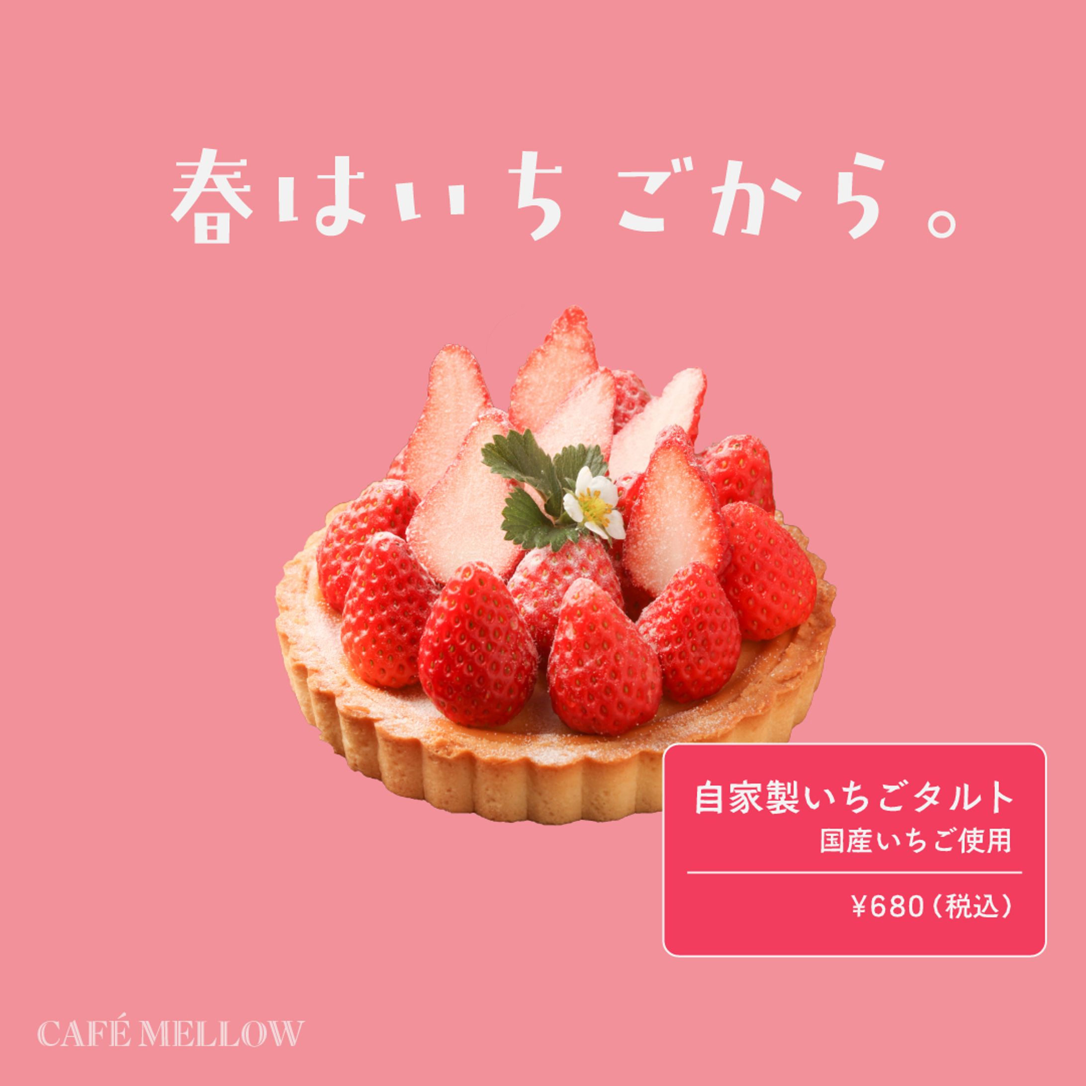 自家製いちごタルト-1