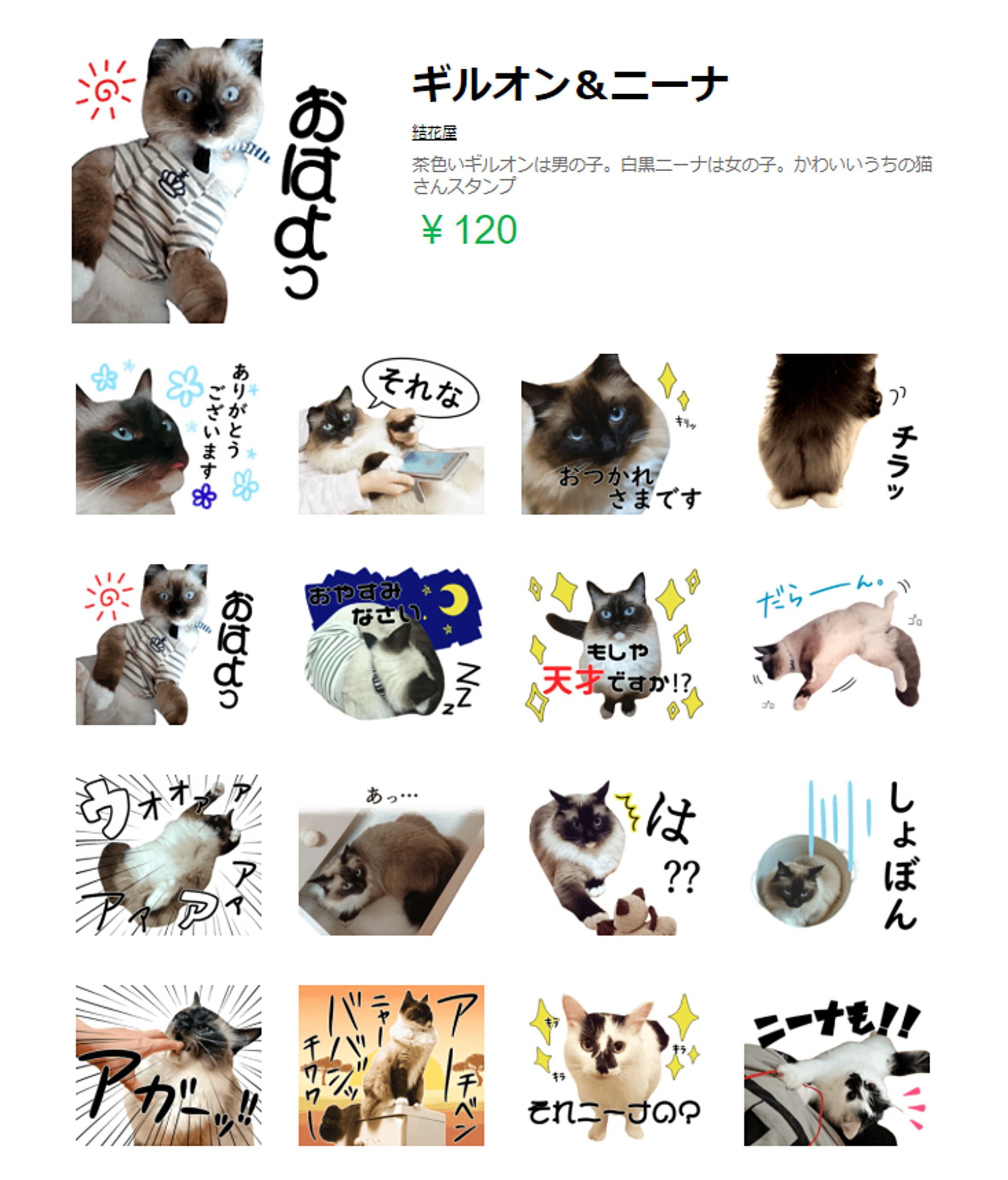 猫＿LINEスタンプ-1