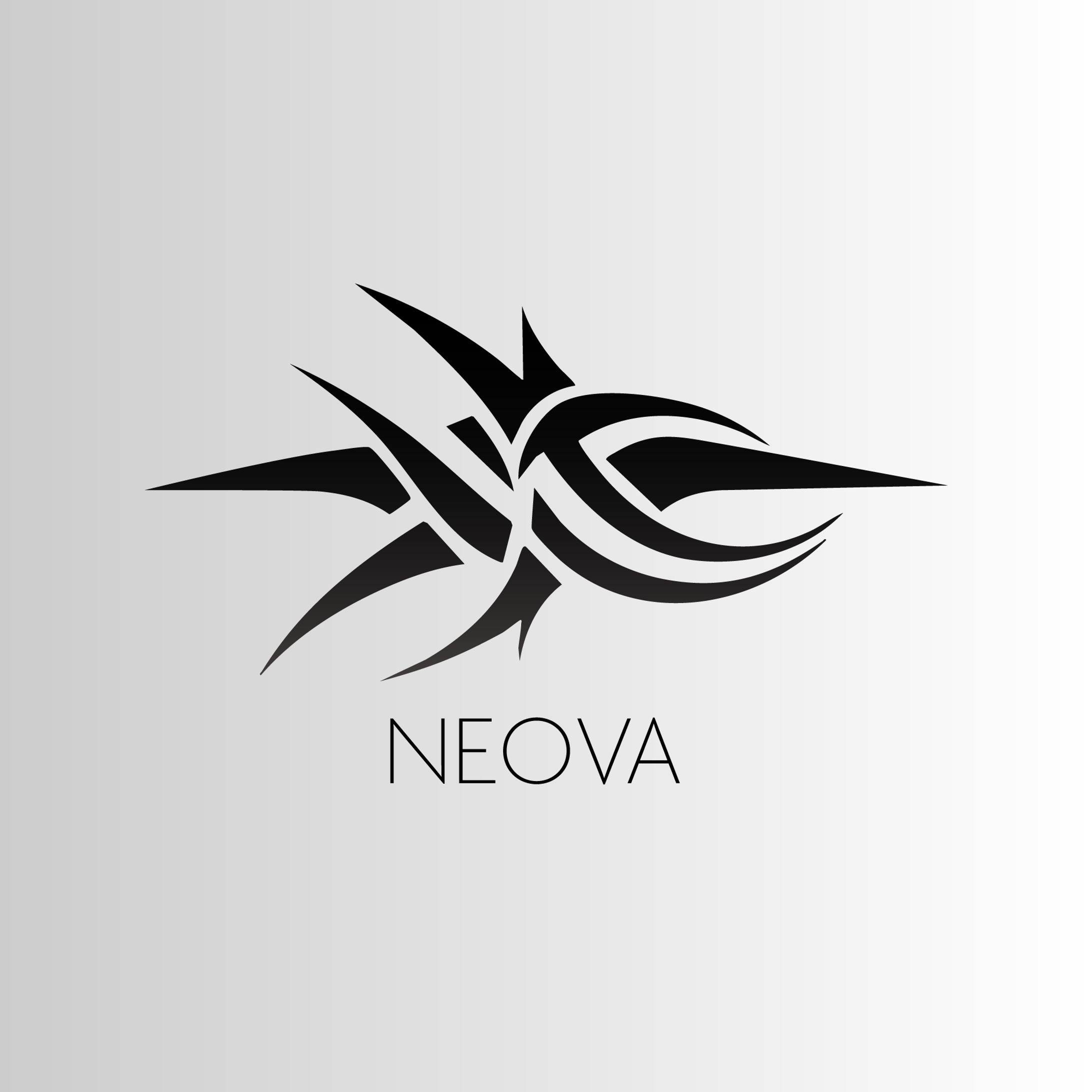 【 ロゴ 】NEOVA-1